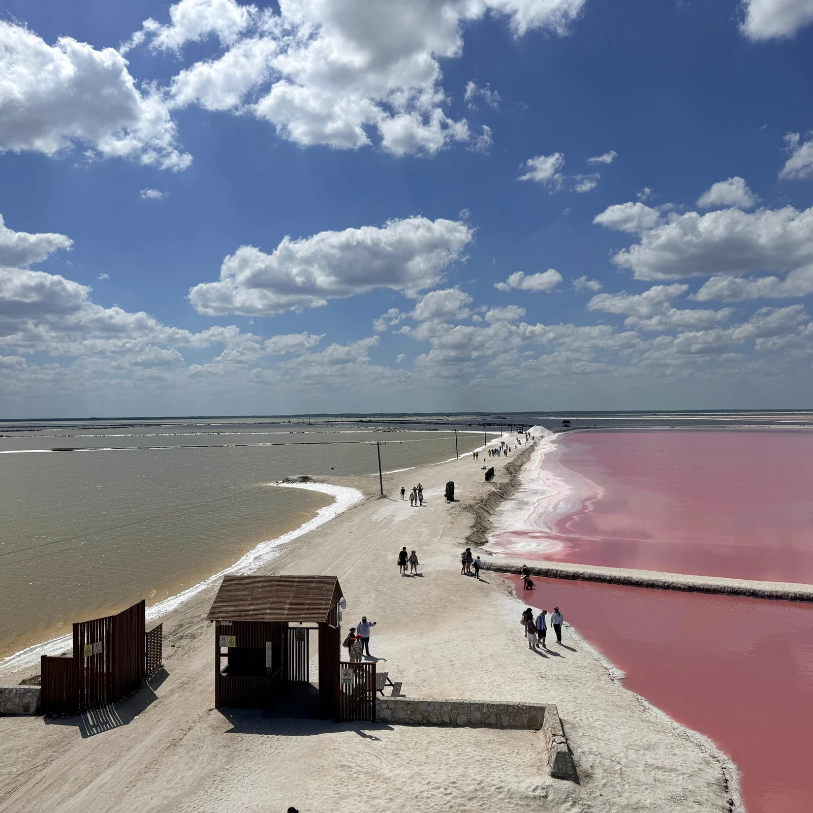Excursión Río Lagartos y Las Coloradas desde Cancún
