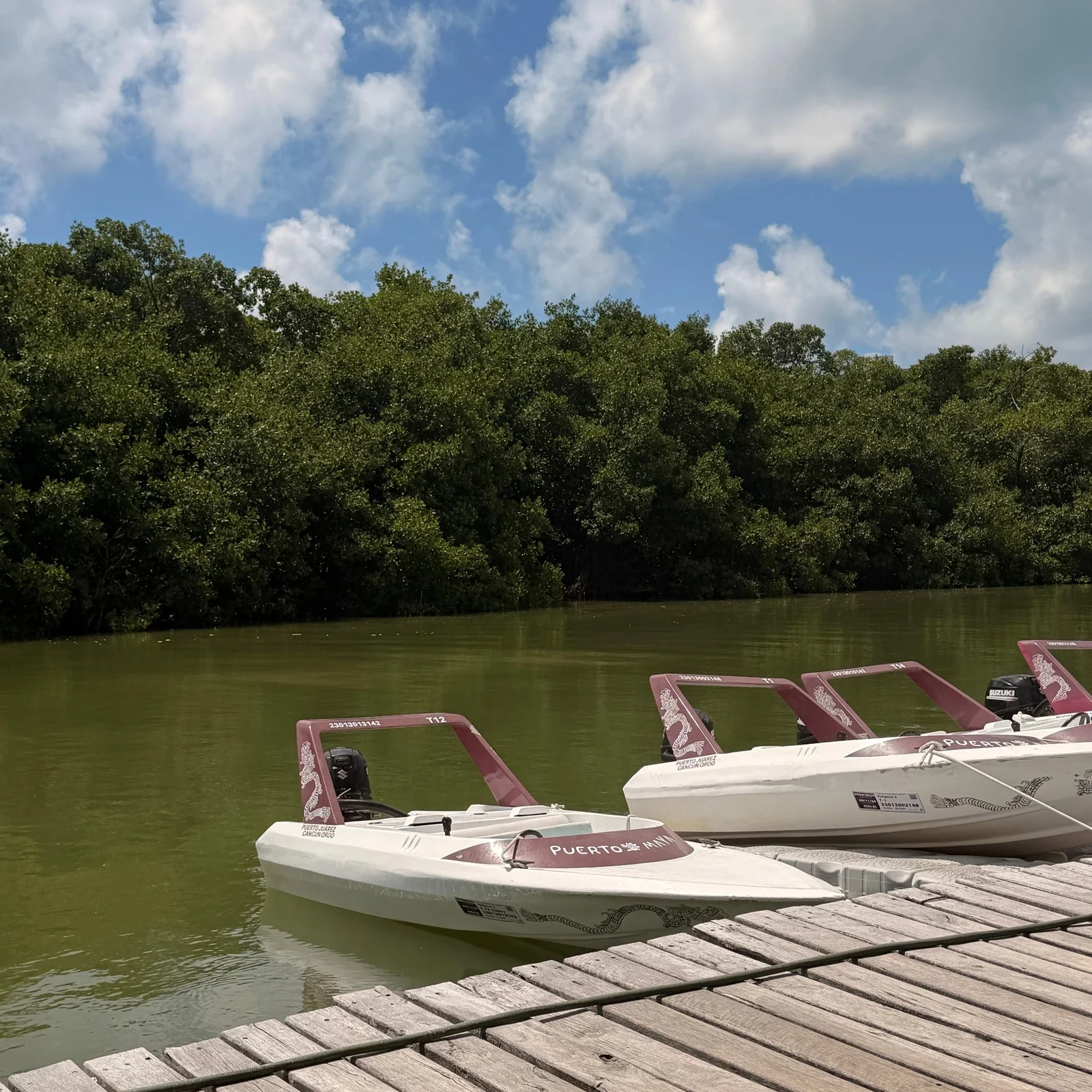 Cancún Jungle Tour mit Speedboot und Schnorcheln