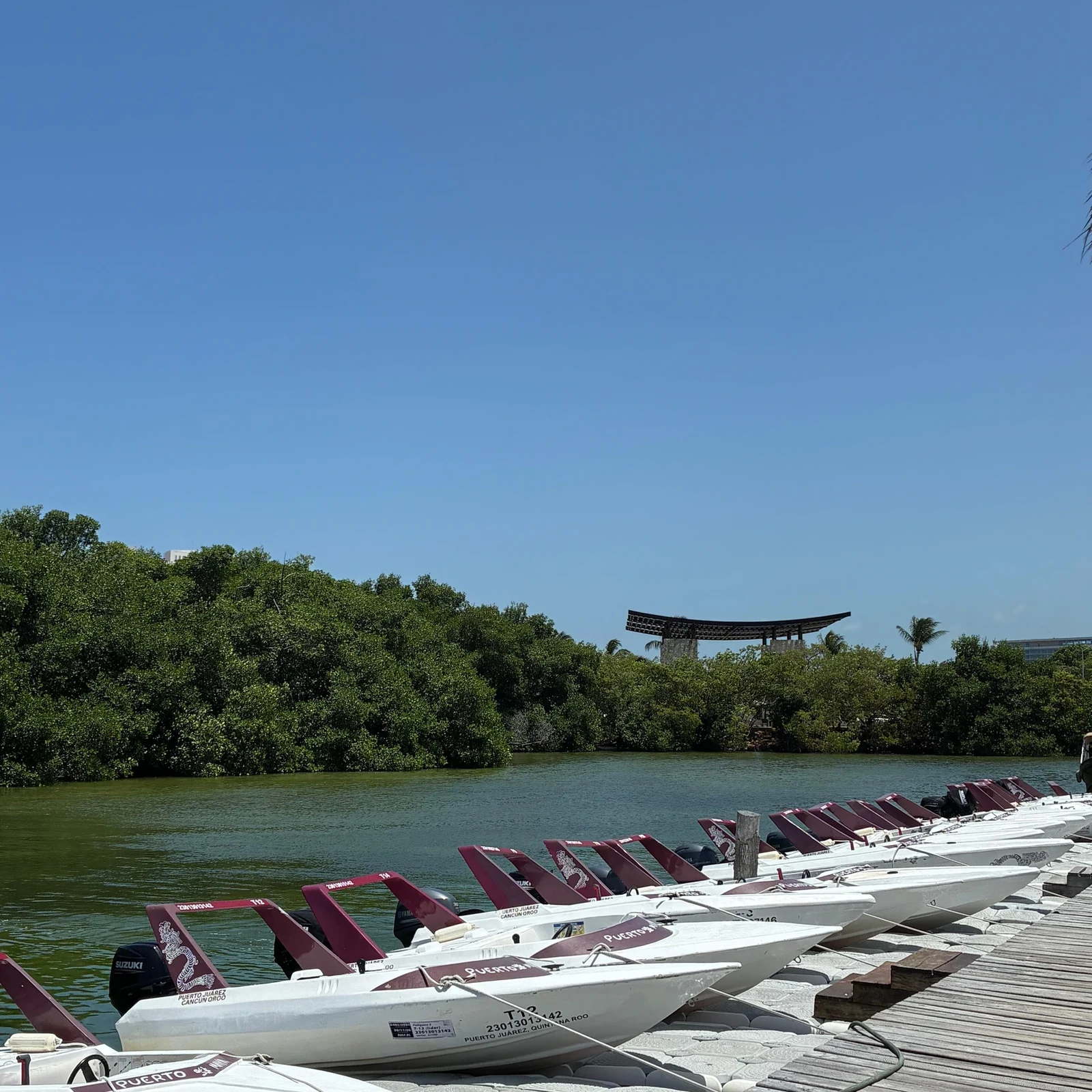 Cancún Jungle Tour mit Speedboot und Schnorcheln
