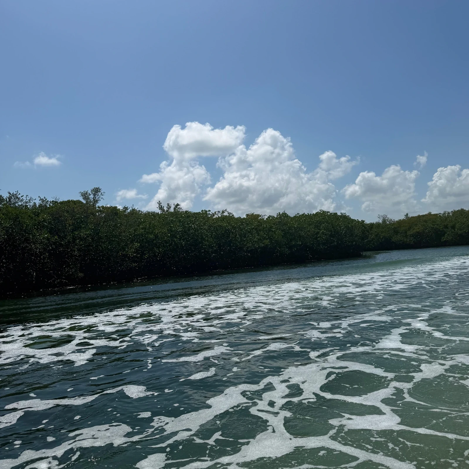 Tour en lancha rápida por los manglares de Cancún con snorkel en Punta Nizuc