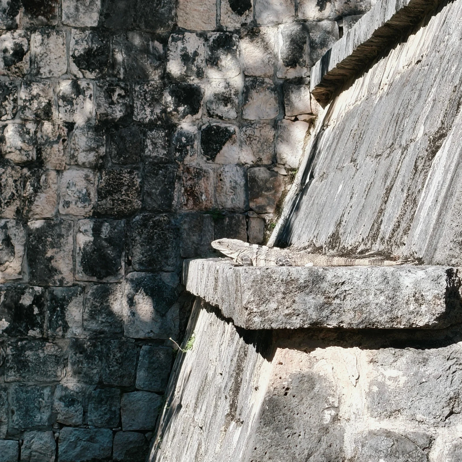 Chichén Itzá Tour ab Cancún mit frühem Eintritt: Lohnt sie sich?
