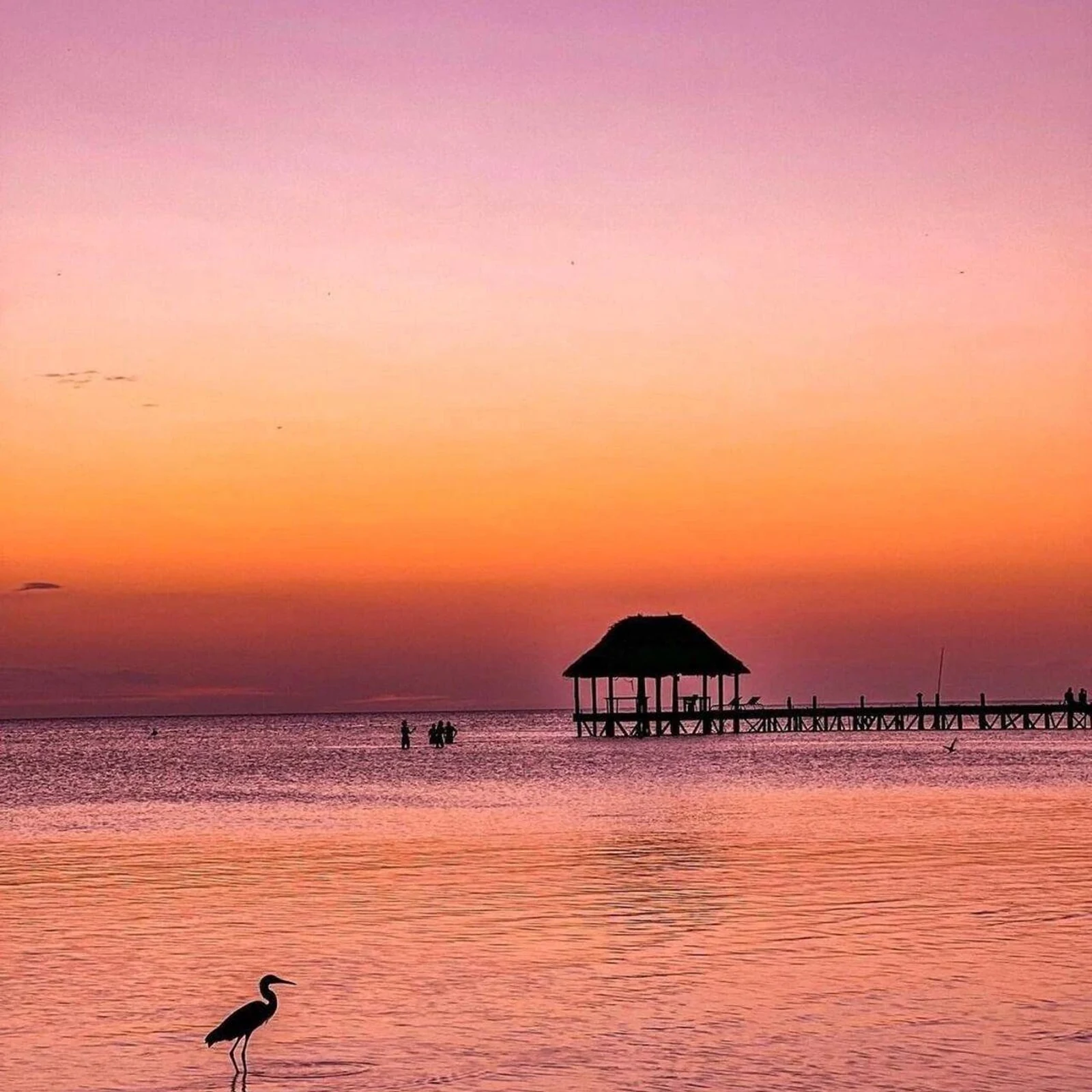 Holbox Tour ab Cancún: Isla Pasión, Punta Mosquito und Yalahau an einem Tag