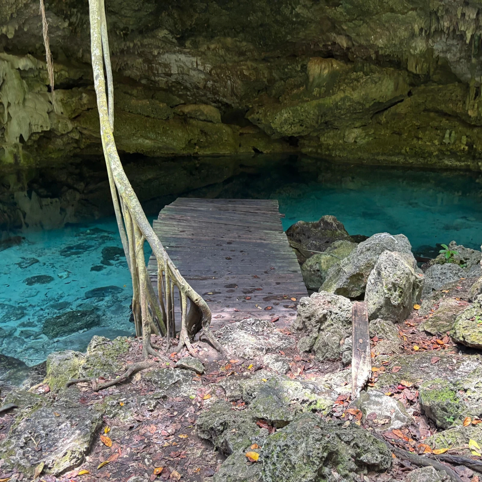 Buggy-Tour Riviera Maya mit Cenote ab Playa del Carmen