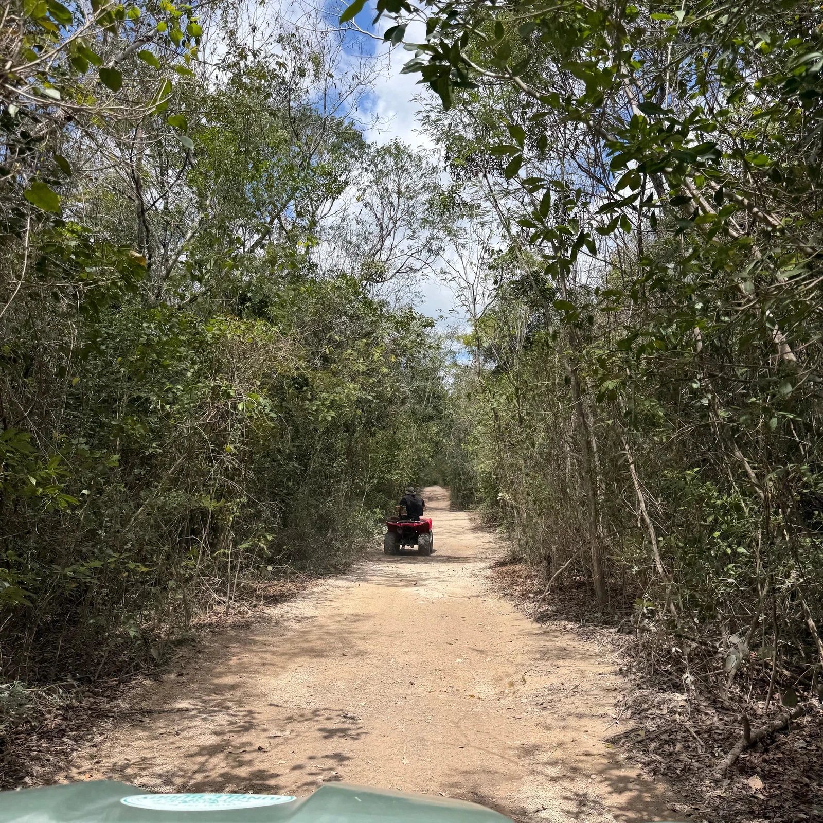 Buggy-Tour Riviera Maya mit Cenote und Dschungel