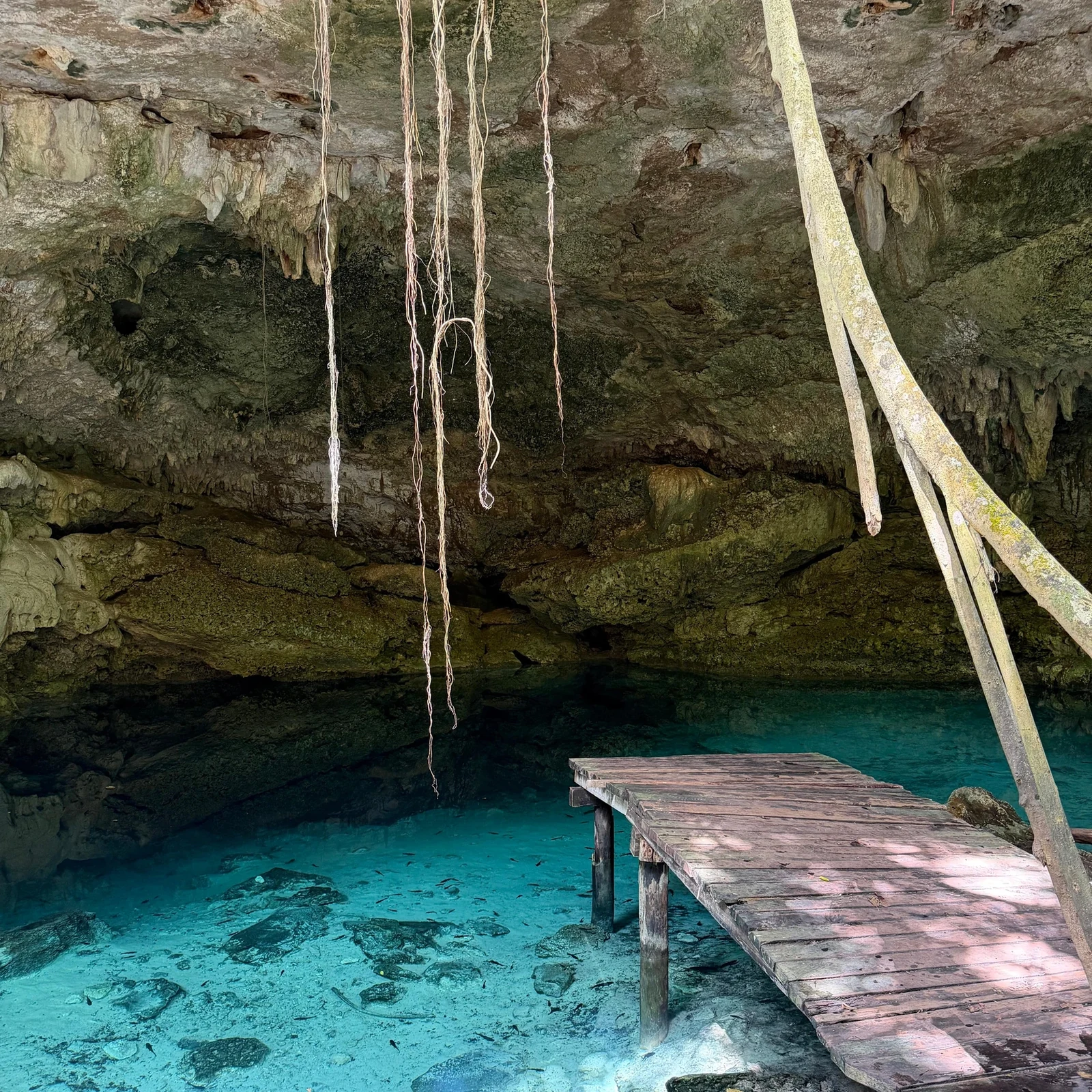 Buggy-Tour Riviera Maya mit Cenote und Dschungel
