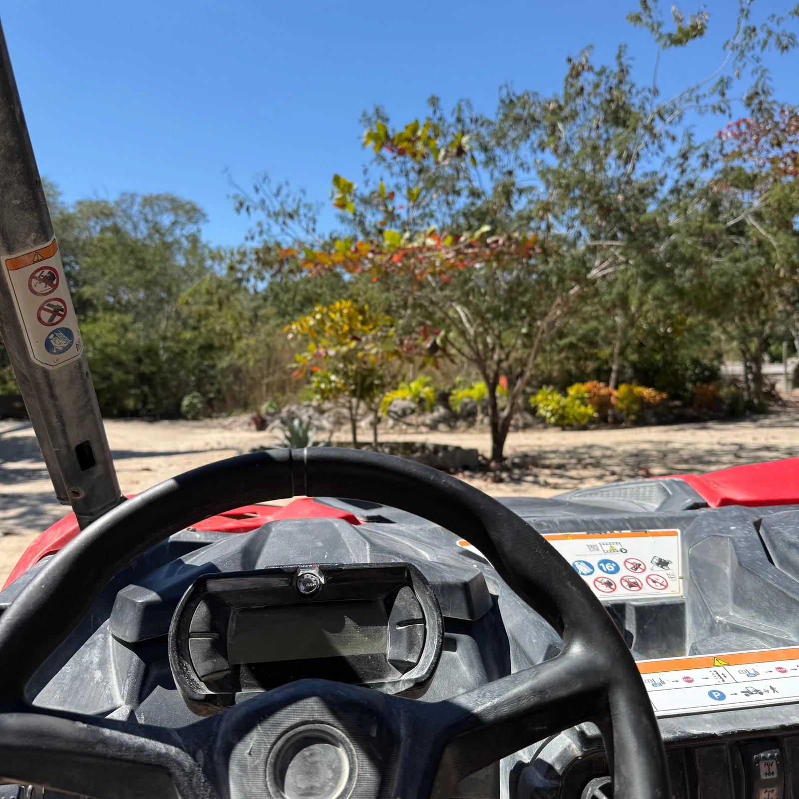 Buggy-Tour Riviera Maya mit Cenote und Dschungel