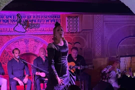 Excursión a Setenil y Ronda desde Sevilla con opción de flamenco