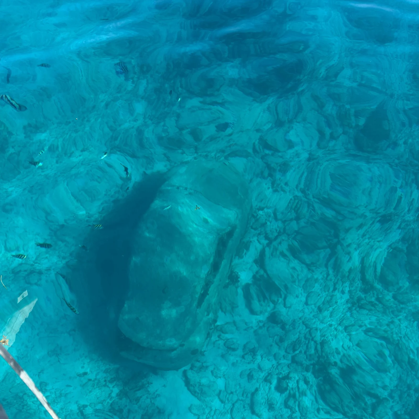 Isla Mujeres MUSA and Manchones Snorkeling Tour