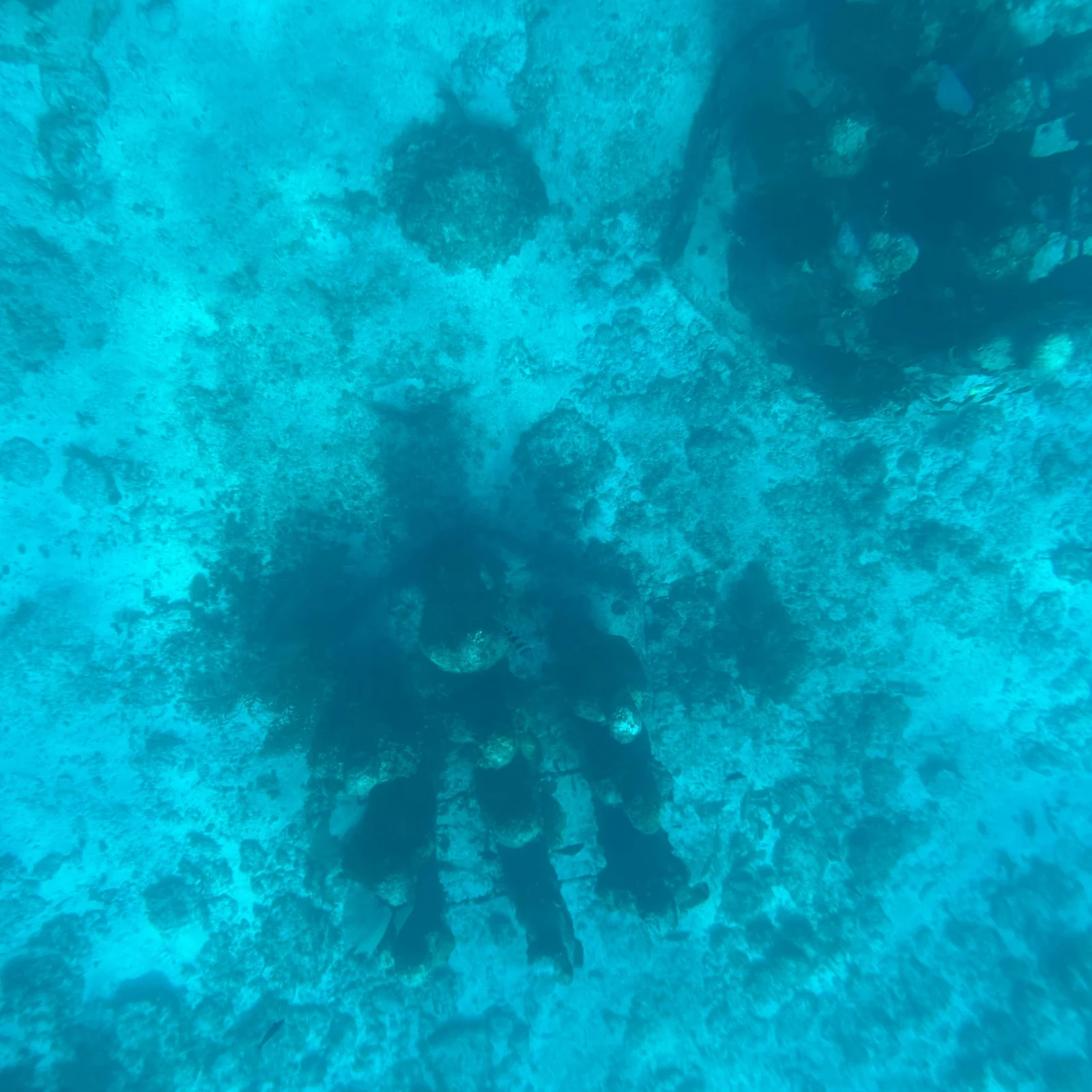 Isla Mujeres MUSA and Manchones Snorkeling Tour
