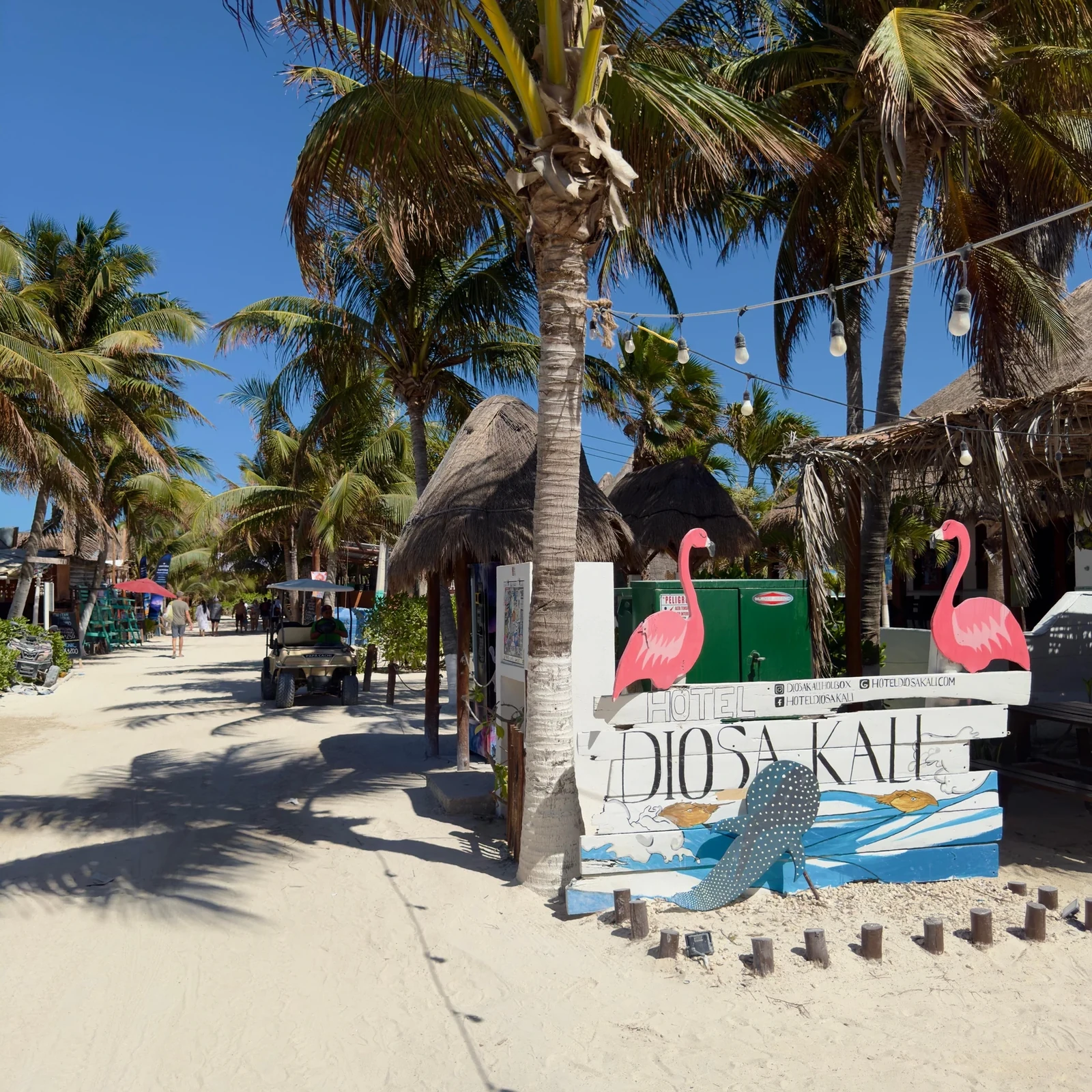 Holbox Tour ab Cancún oder Puerto Morelos mit Bootsfahrt und Mittagessen