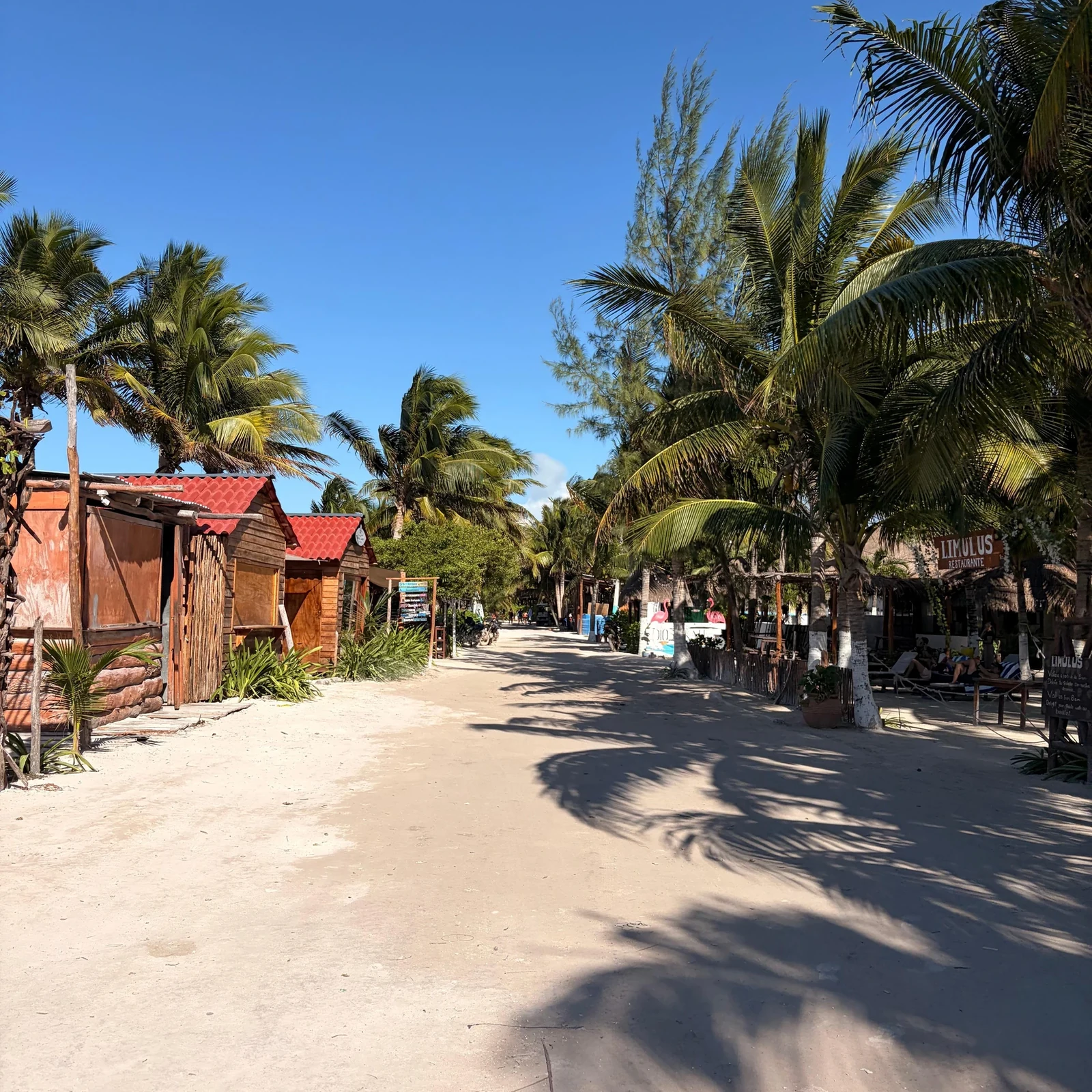 Holbox Tour from Cancun or Puerto Morelos: Boat Trip, Beaches and Lunch