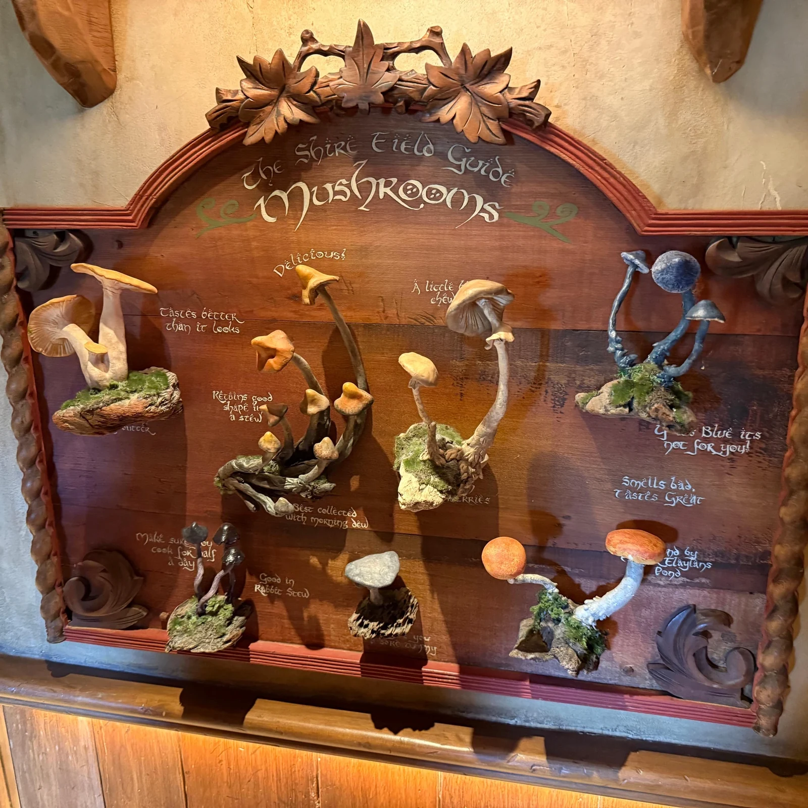 Tour a Hobbiton desde Auckland en grupo reducido