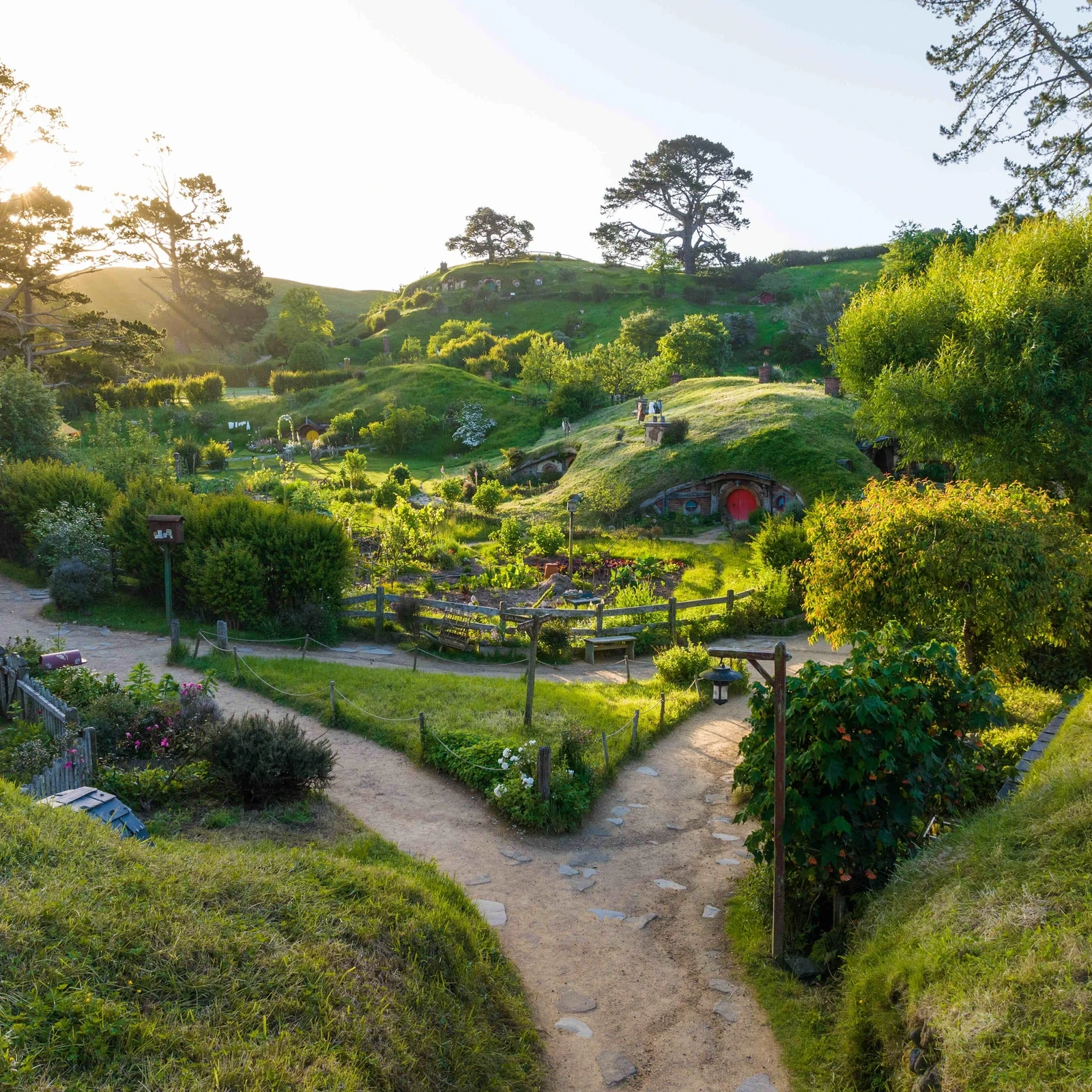 Hobbiton depuis Auckland : transport et visite officielle du Movie Set