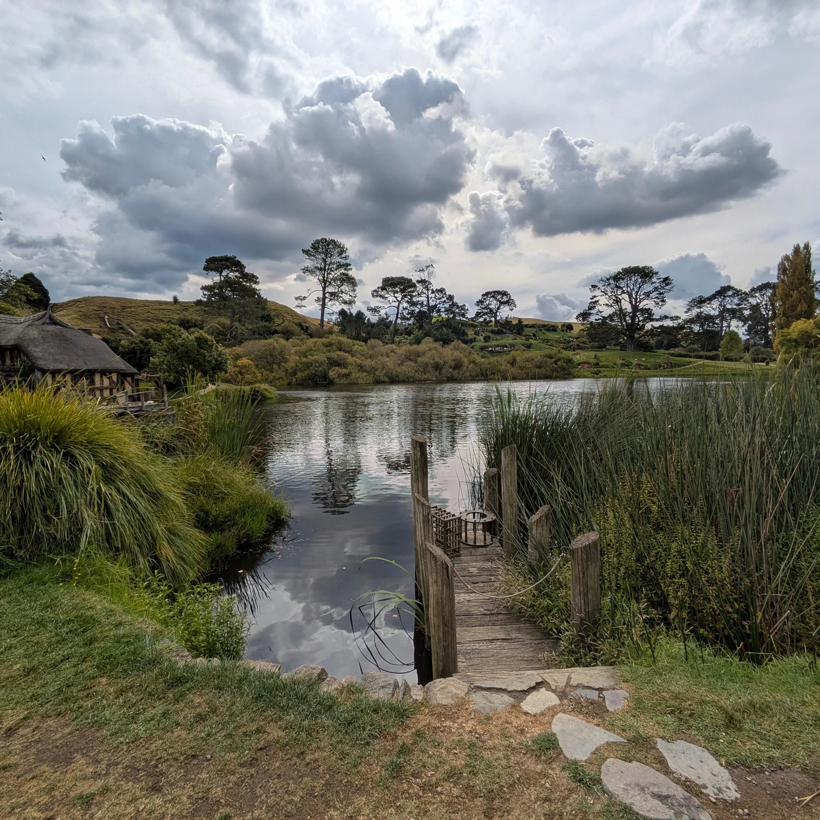 Hobbiton depuis Auckland : transport et visite officielle du Movie Set