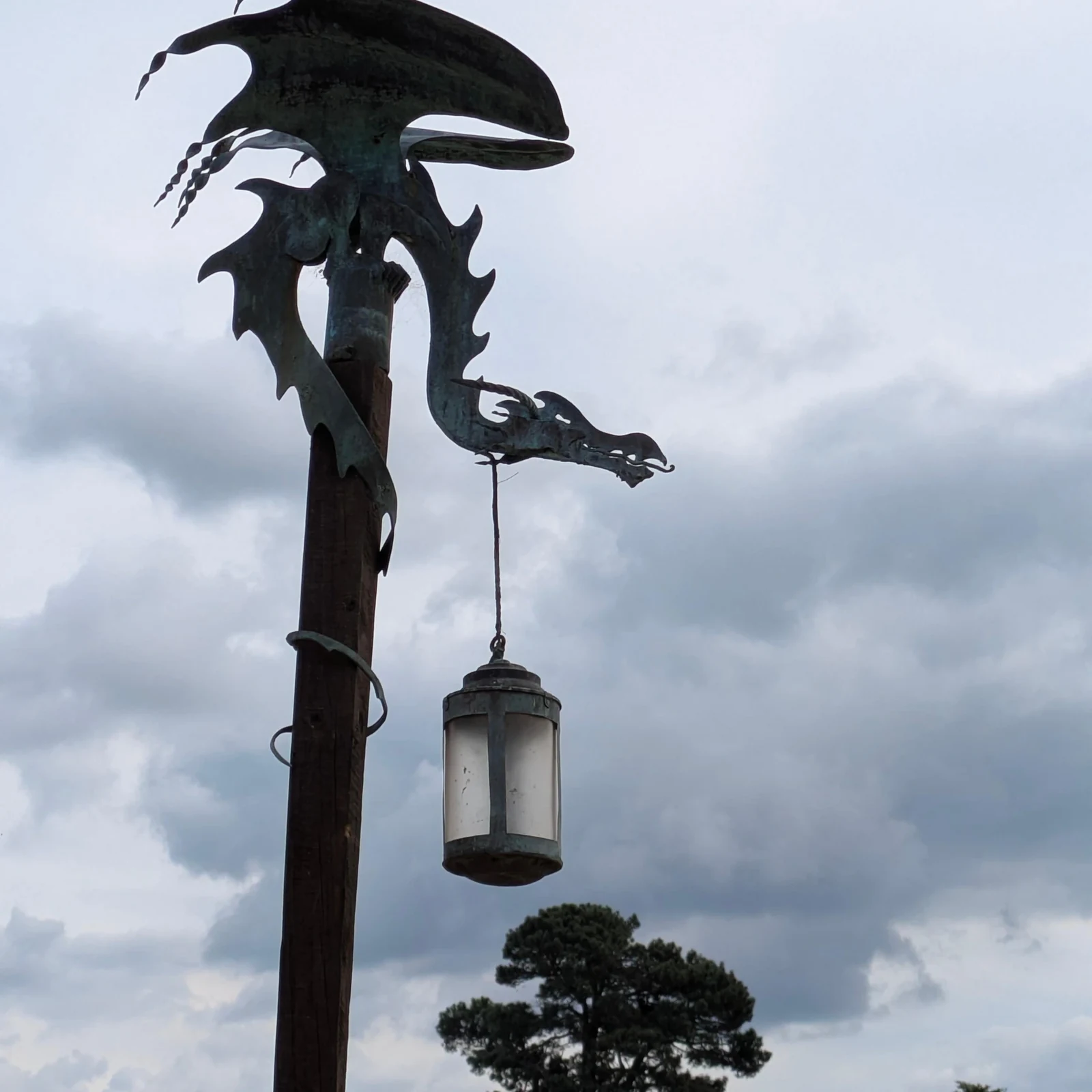 Hobbiton depuis Auckland : transport et visite officielle du Movie Set