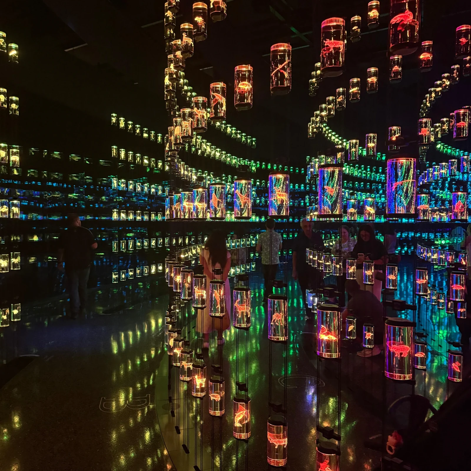 Museum of the Future à Dubaï : un billet pour explorer les futurs possibles