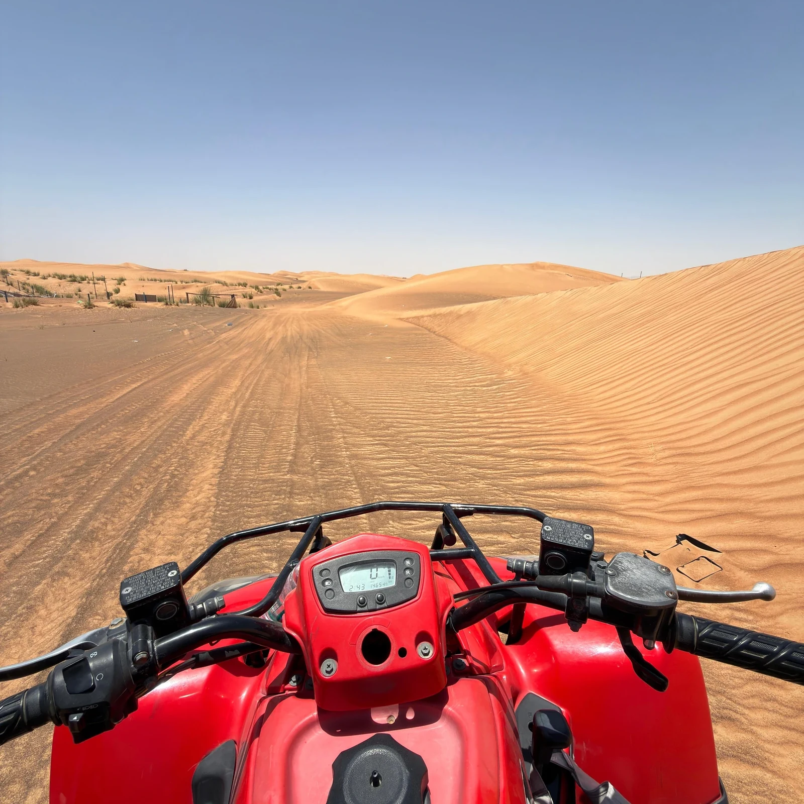 Dubai Wüstensafari: Rote Dünen, Kamelritt und Sandboarding