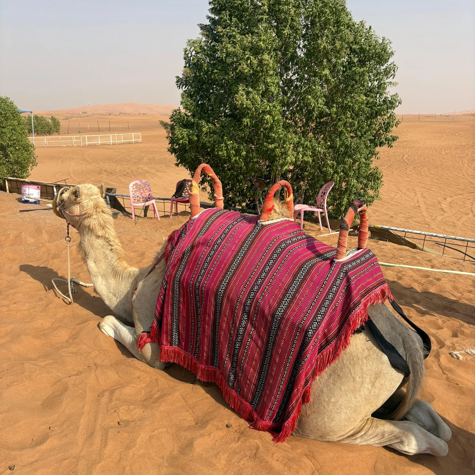 Safari dans les dunes rouges de Lahbab depuis Dubaï