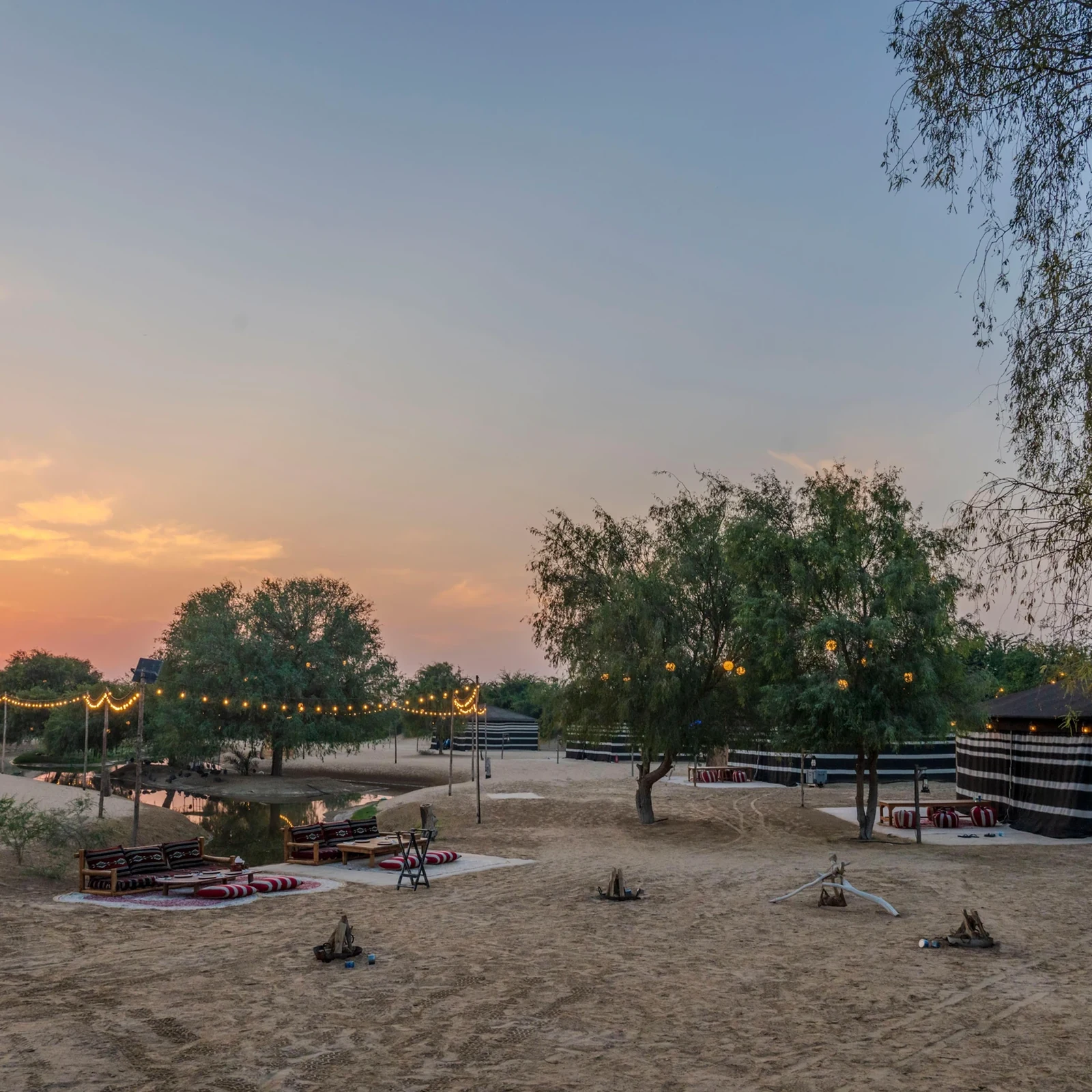 Dubai Abend-Wüstensafari: Kamelritt, Dünen und Sternenbeobachtung