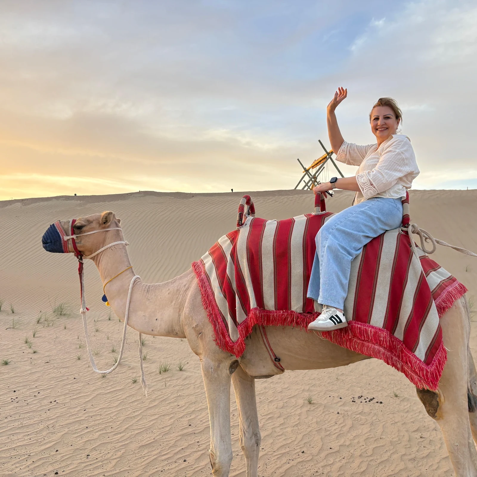 Dubai Abend-Wüstensafari: Kamelritt, Dünen und Sternenbeobachtung