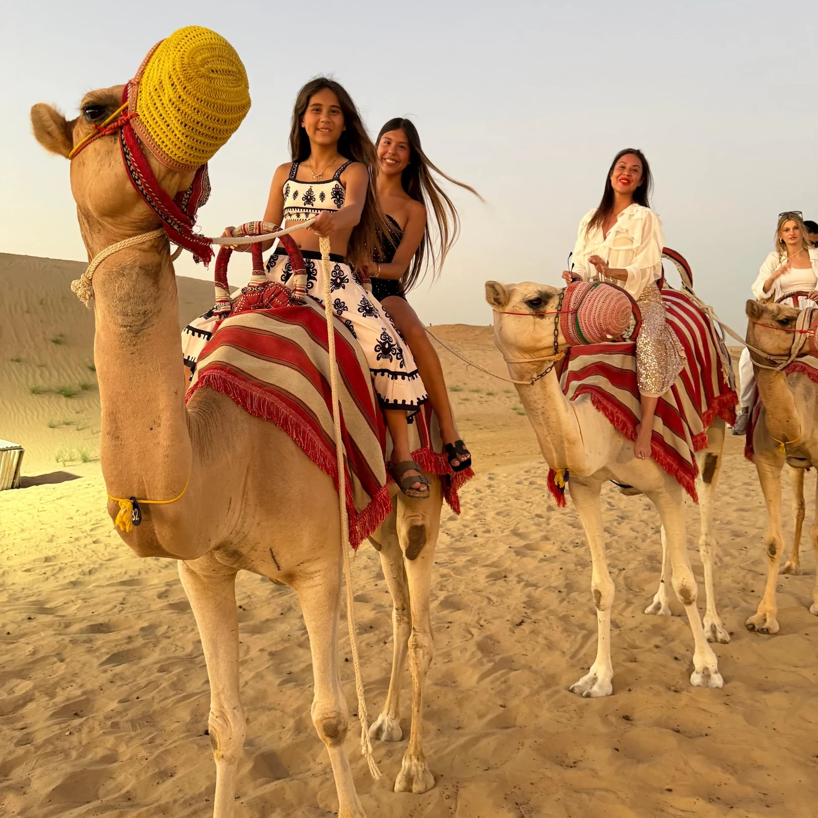Dubai Abend-Wüstensafari: Kamelritt, Dünen und Sternenbeobachtung