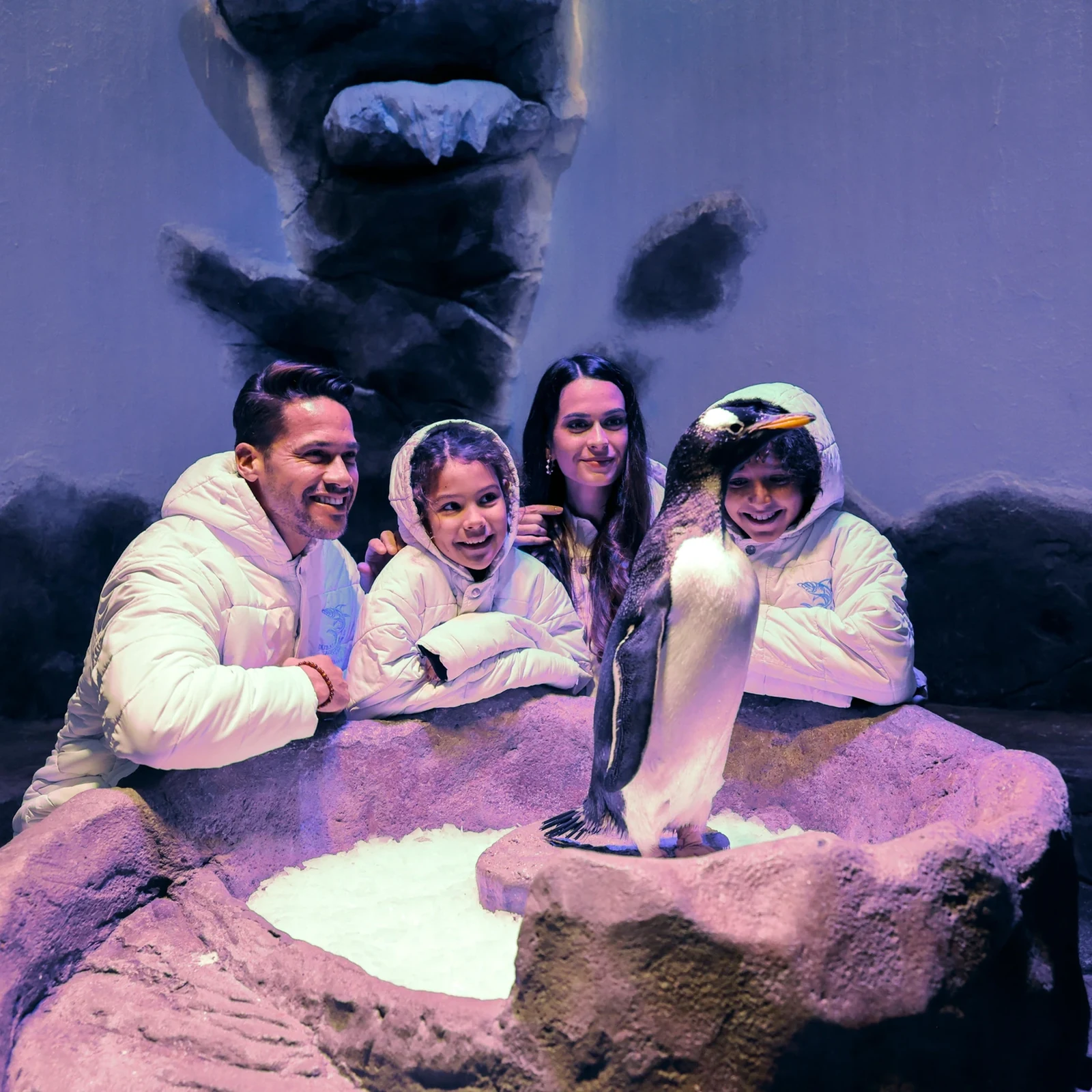 Dubai Aquarium & Underwater Zoo: del túnel submarino a los pases VIP