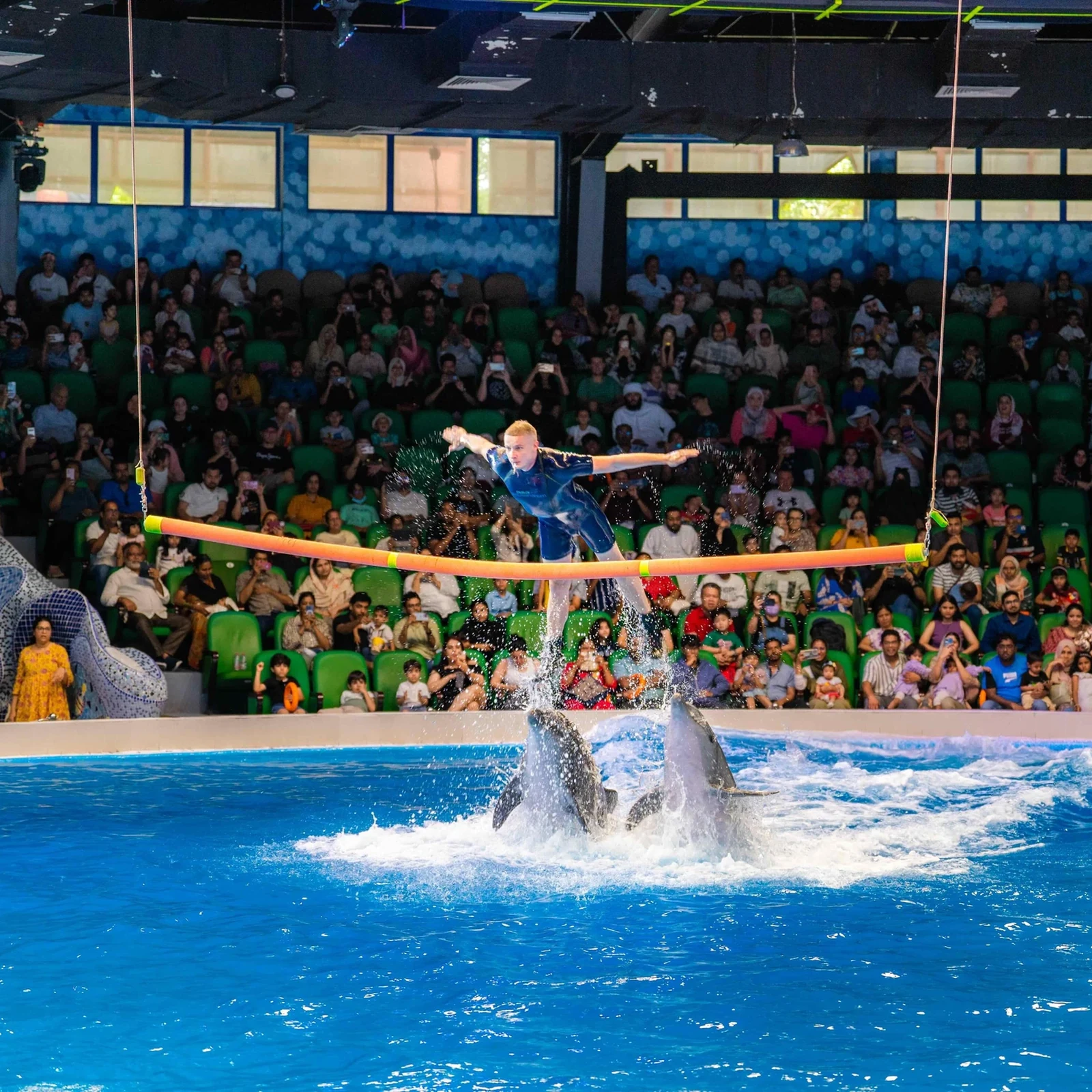 Dubai Dolphinarium: Delfine und Seelöwen, plus Vögel mit der passenden Option
