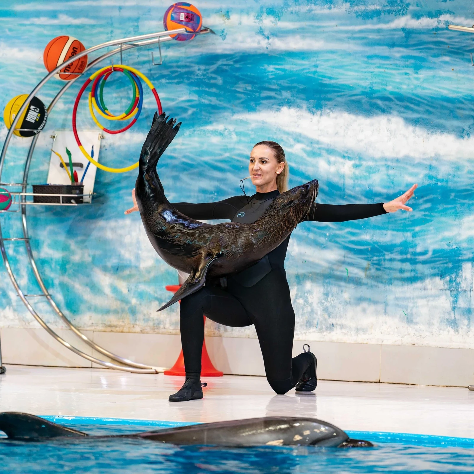 Dubai Dolphinarium: Delfine und Seelöwen, plus Vögel mit der passenden Option