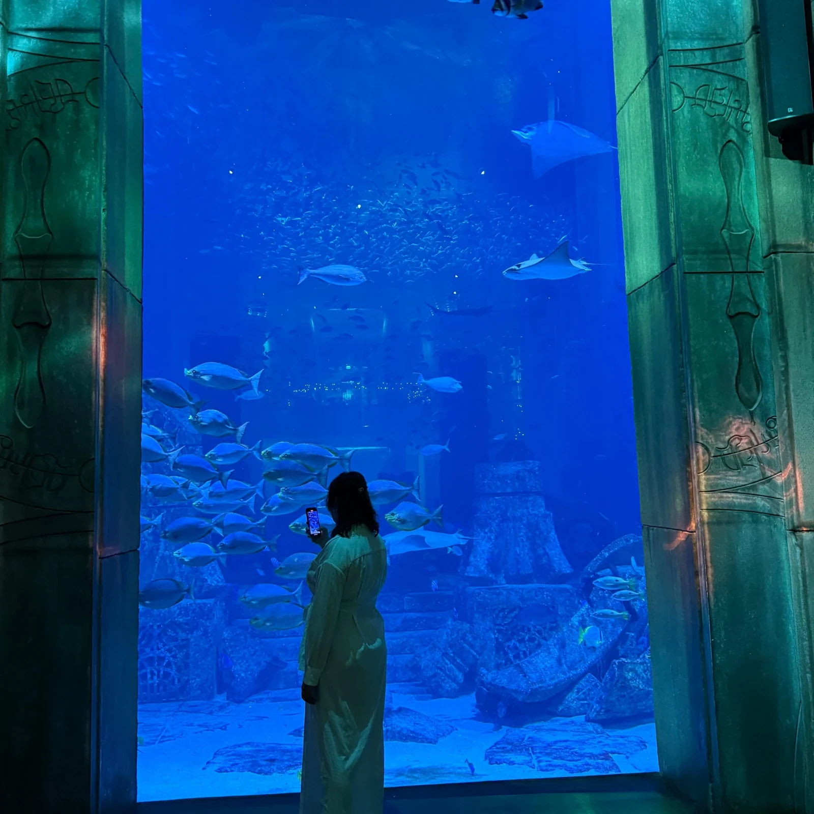 Lost World Aquarium Dubai: más de 65.000 animales marinos en Atlantis