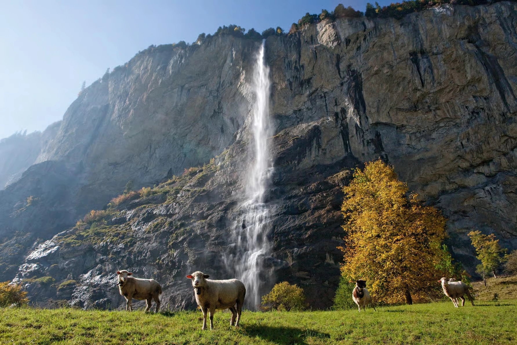 Excursión desde Zúrich a Grindelwald, Interlaken y Lauterbrunnen