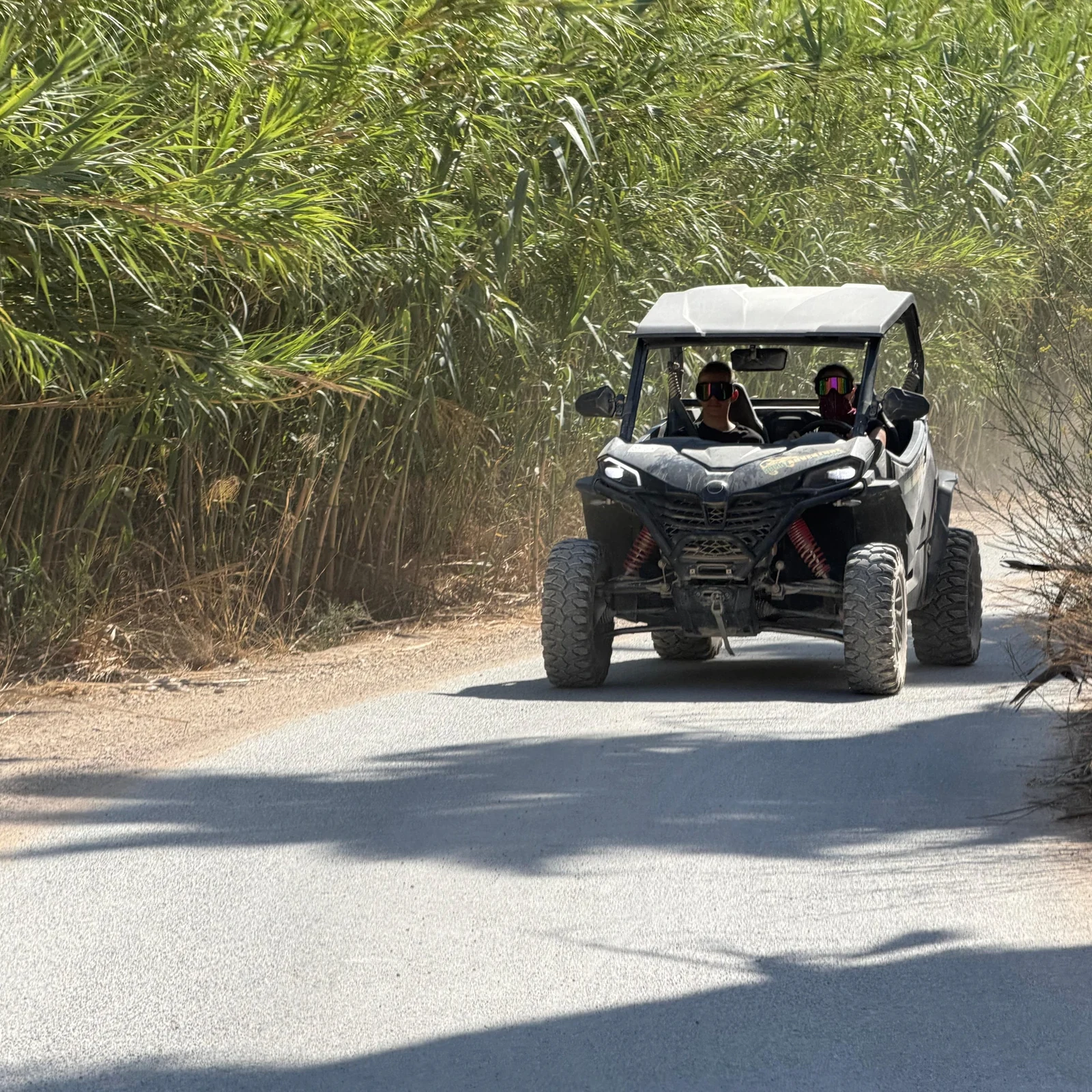 Buggy Jungle ou Algar Waterfalls : tout-terrain autour d'Altea et Callosa