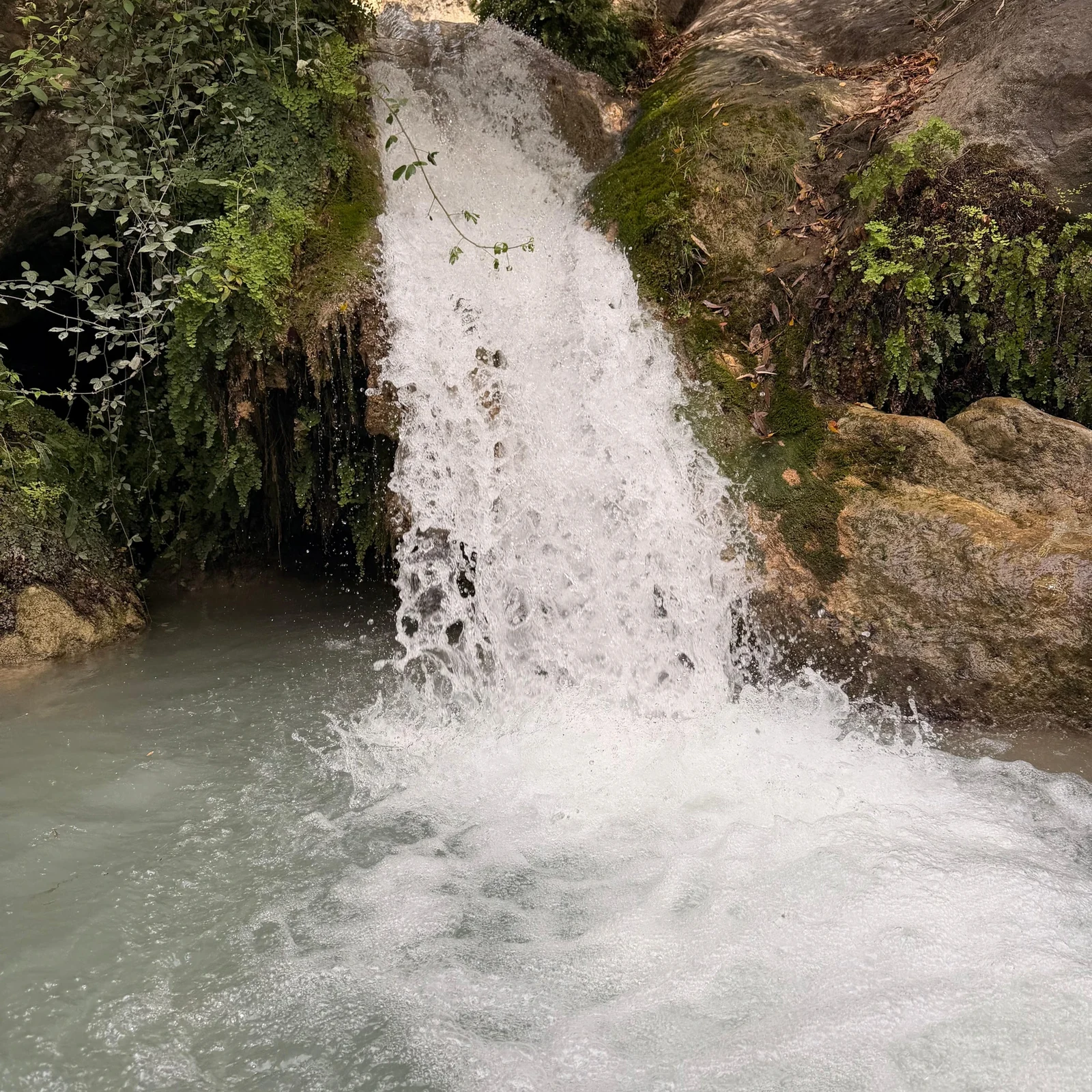 Buggy Jungle ou Algar Waterfalls : tout-terrain autour d'Altea et Callosa