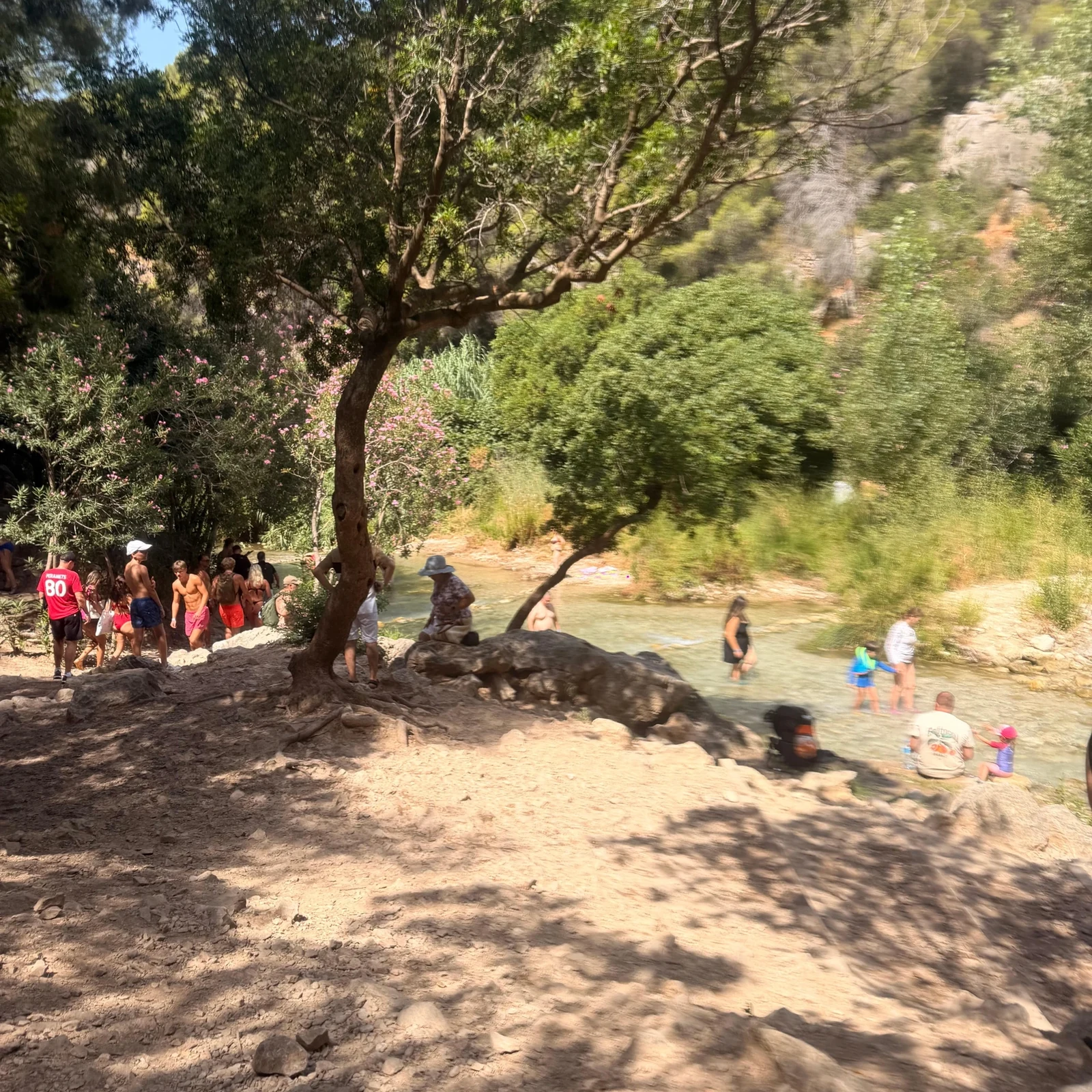Excursion aux cascades de l’Algar depuis Benidorm et Albir