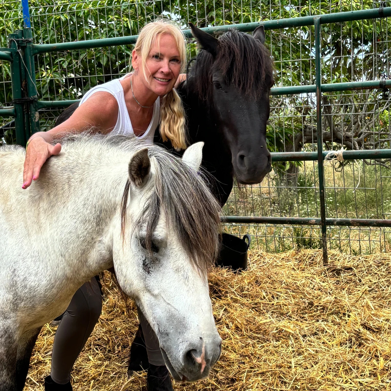 Ruta privada a caballo por la Costa Blanca cerca de Benidorm