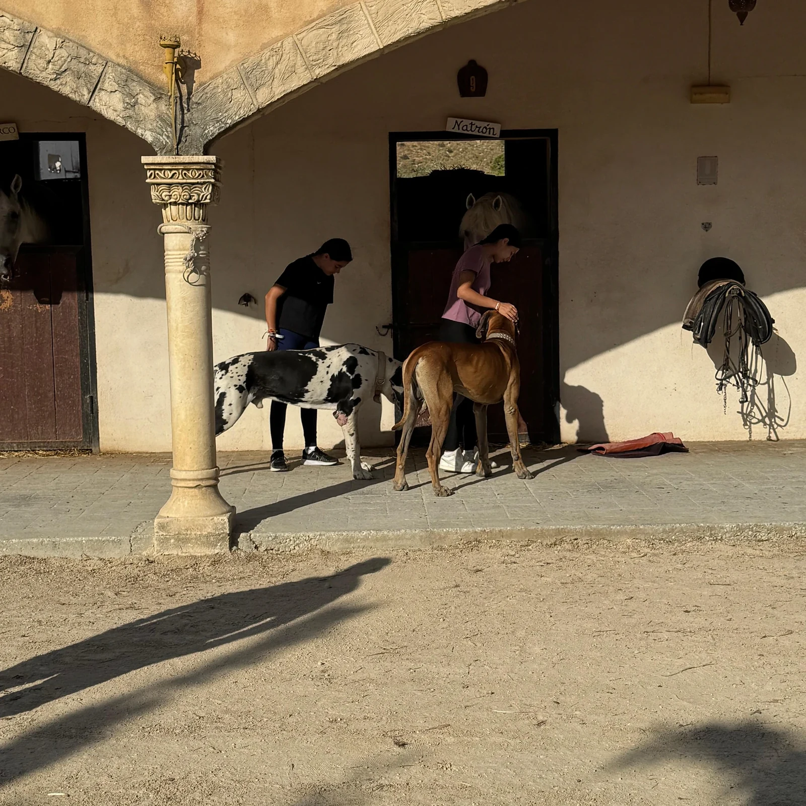 Balade à cheval dans les montagnes de Villajoyosa avec vue sur la Méditerranée
