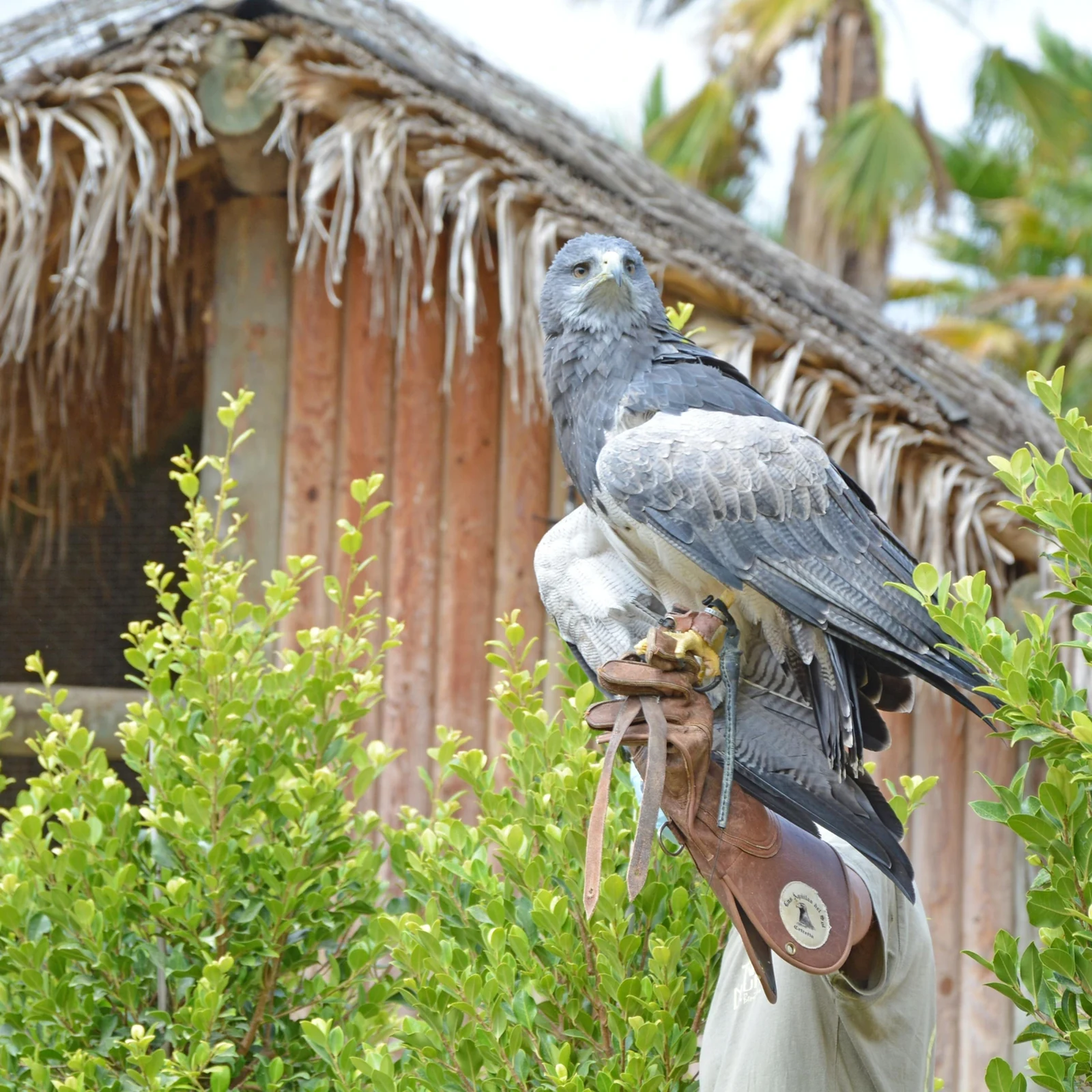 Terra Natura Benidorm: un día entre más de 1.500 animales