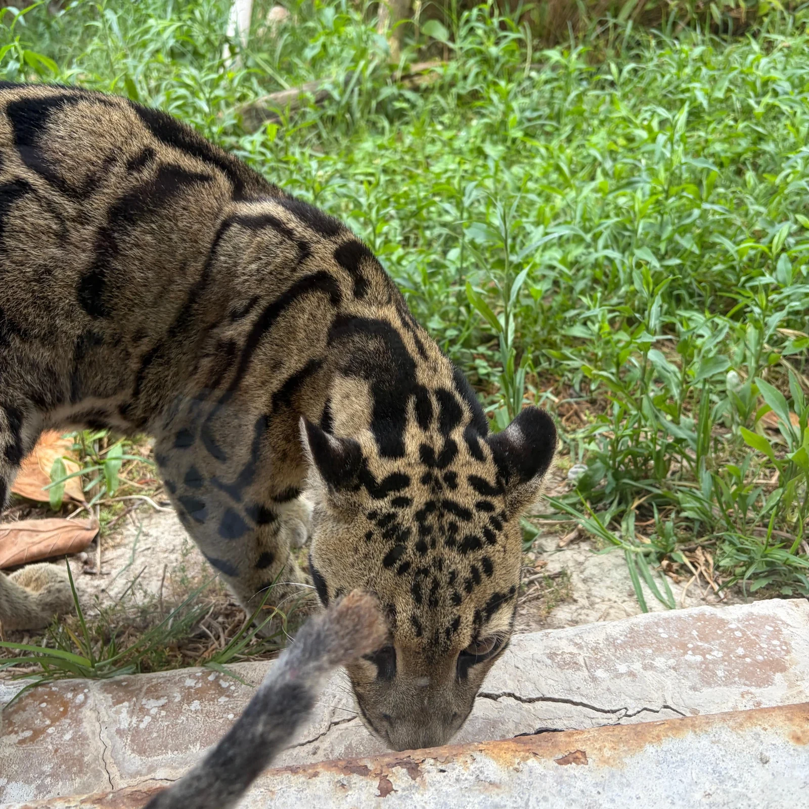 Terra Natura y Aqua Natura: dos parques de Benidorm con una sola entrada