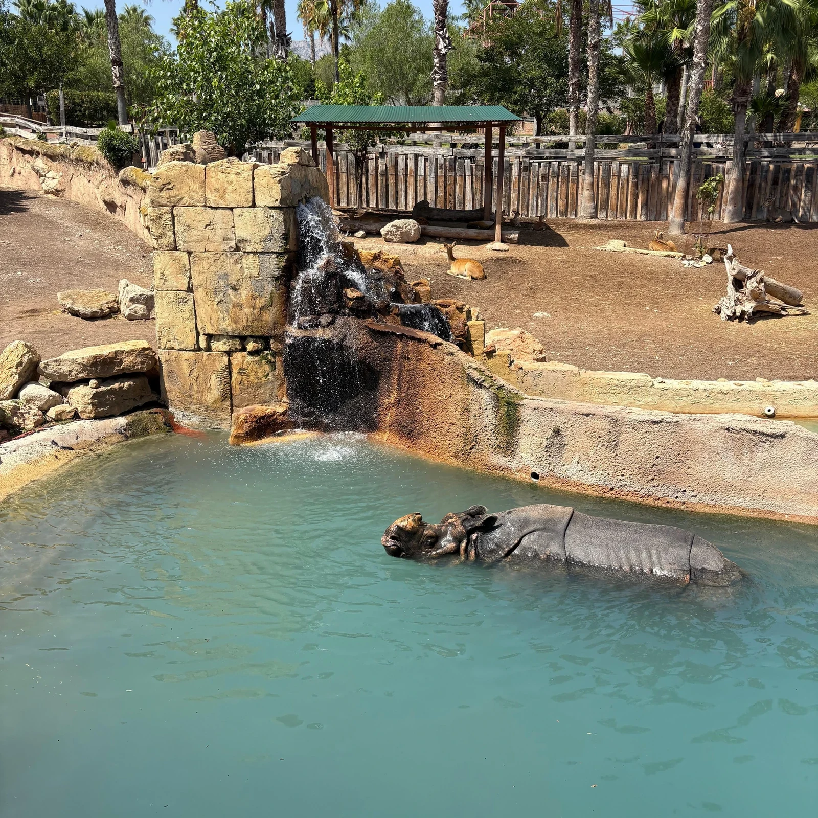 Terra Natura y Aqua Natura: dos parques de Benidorm con una sola entrada