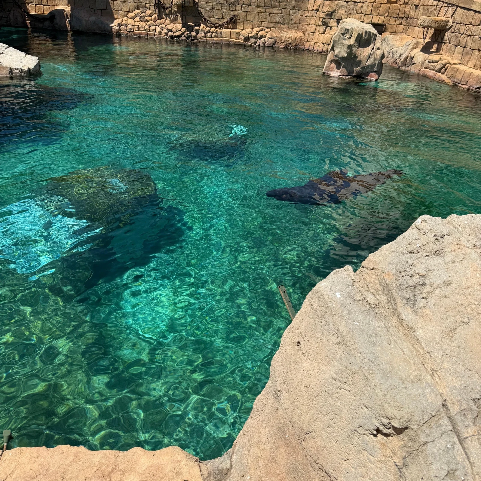 Aqua Natura Benidorm: ein Tag mit Rutschen, Pools und freier Zeiteinteilung