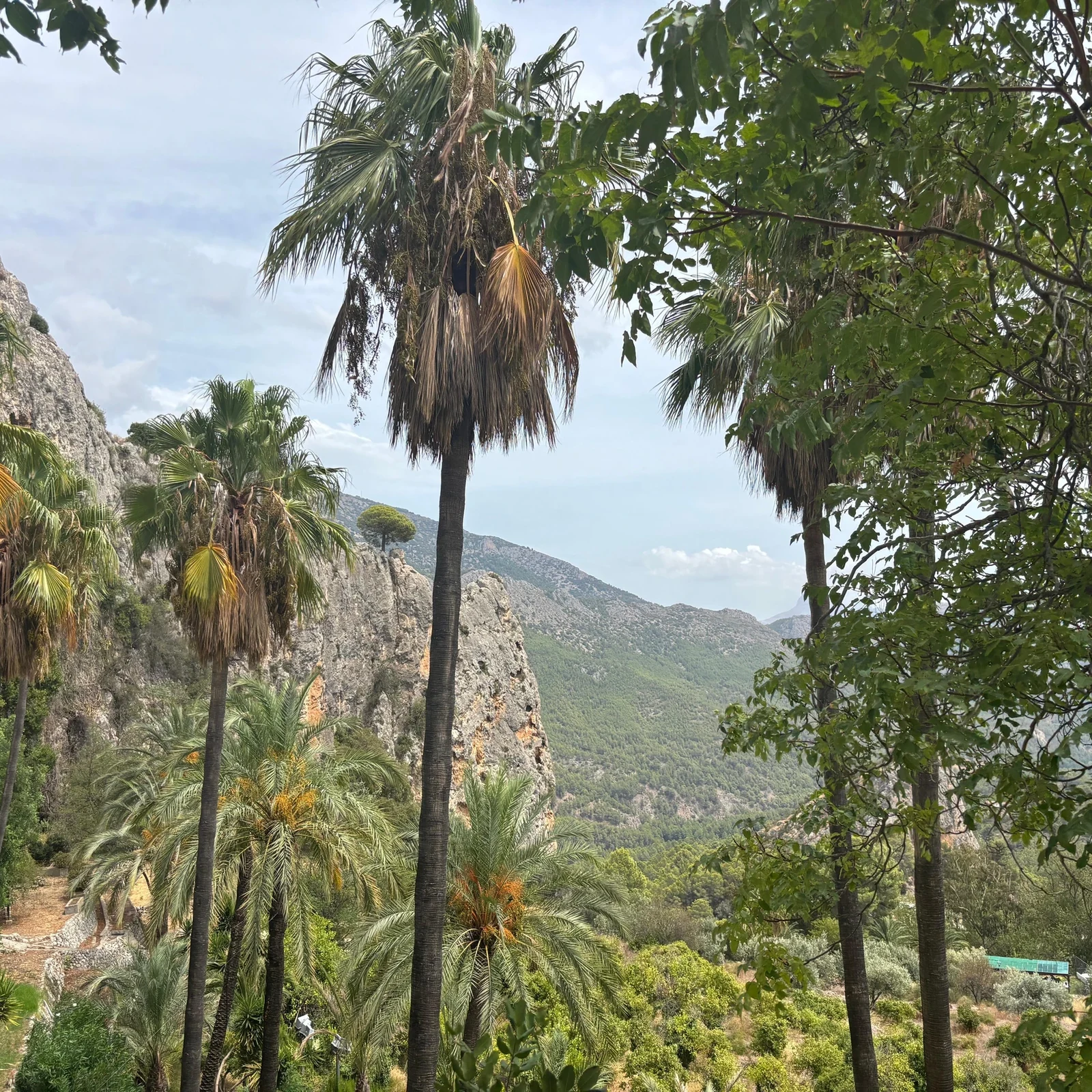 Guadalest, Altea und Algar-Wasserfälle Tagesausflug ab Alicante