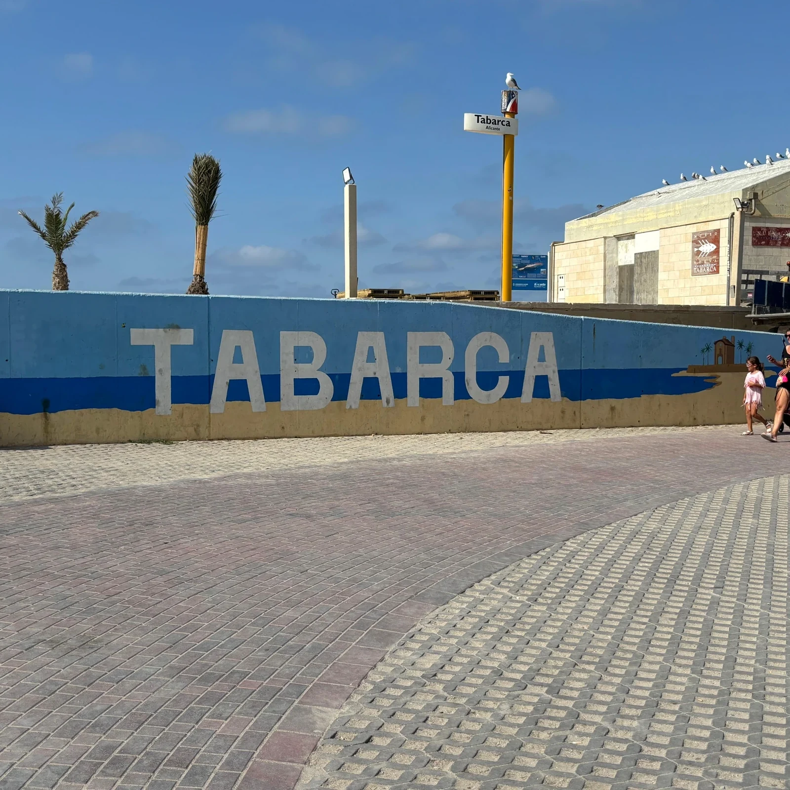 Excursion en hors-bord d’Alicante à Tabarca avec snorkeling