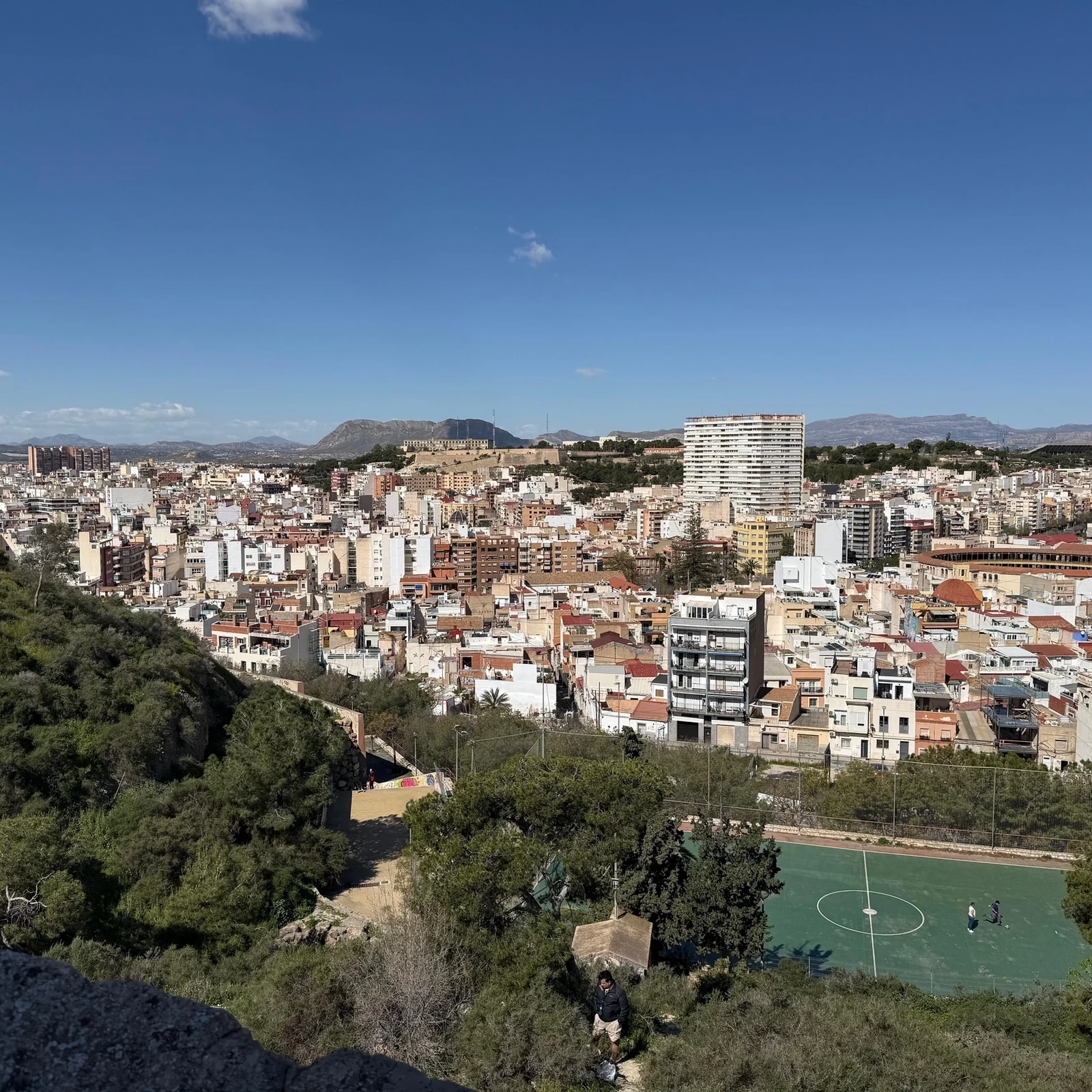 Alicante by tuk-tuk: a private hour to get your bearings