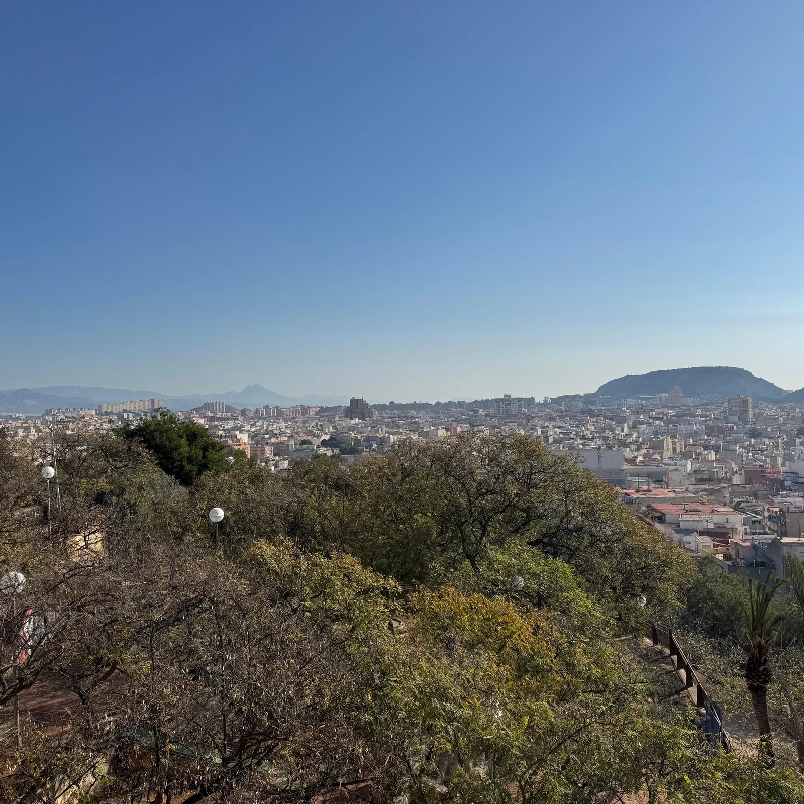 Alicante im Tuk-Tuk: eine private Stunde zur ersten Orientierung