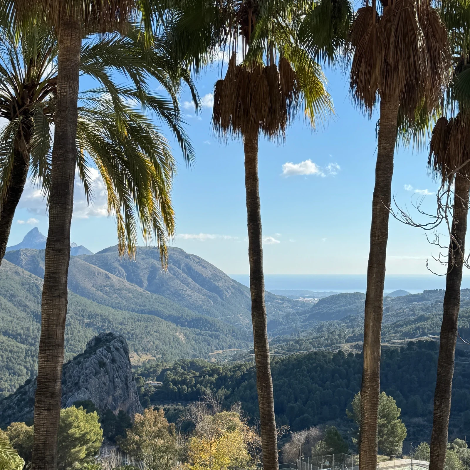 Guadalest et chocolat en 4 h 30, avec 8 voyageurs maximum