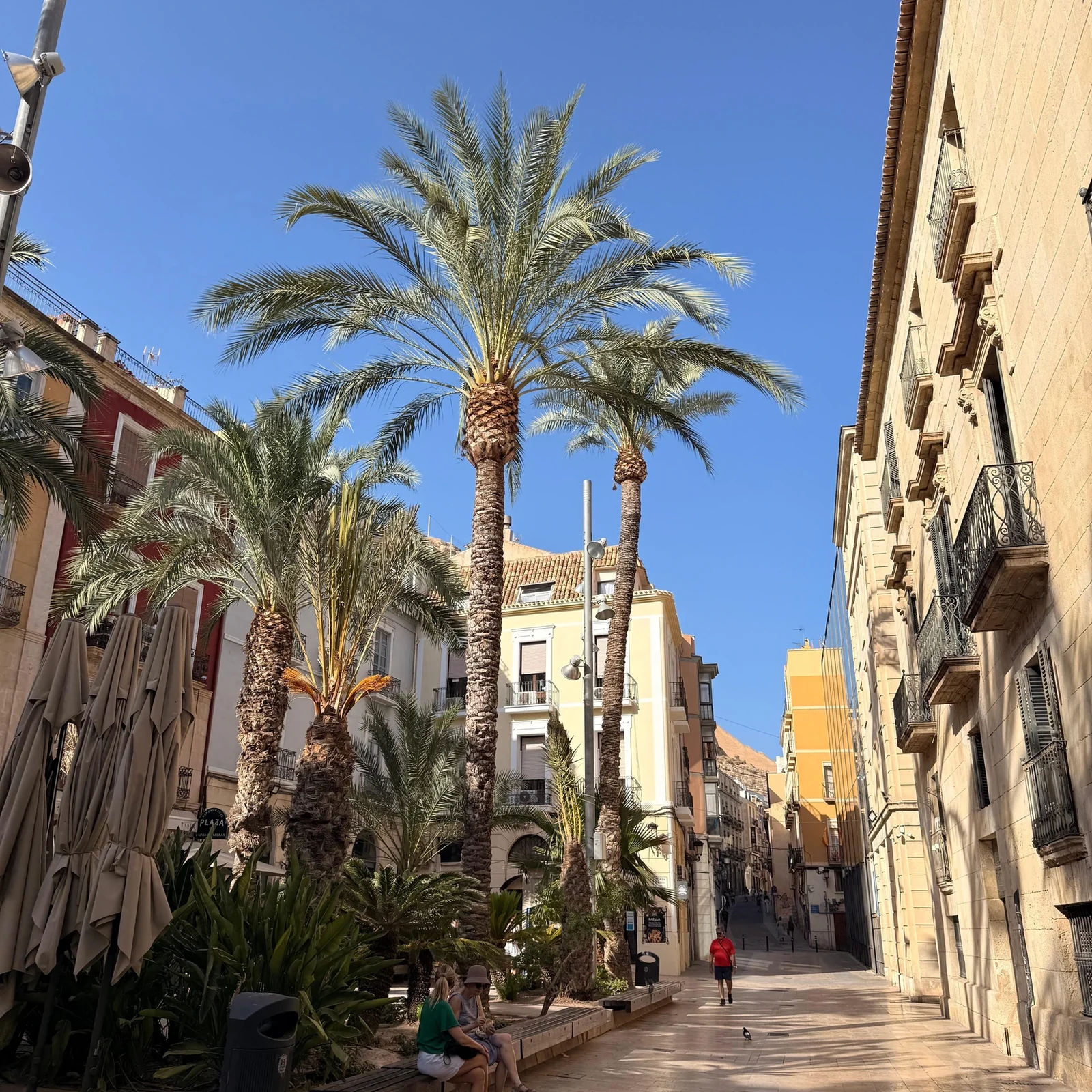 Alicante à pied : deux heures pour comprendre les strates de son histoire