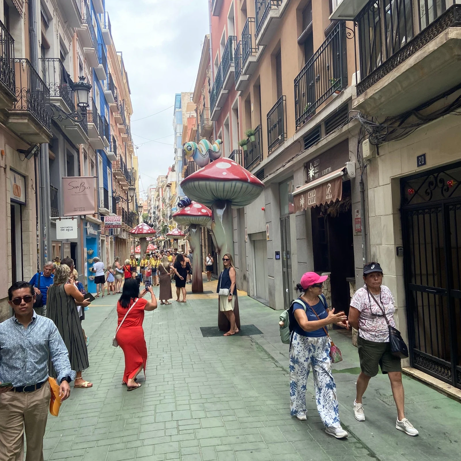 Alicante à pied : ses lieux essentiels avec un guide en 2 heures