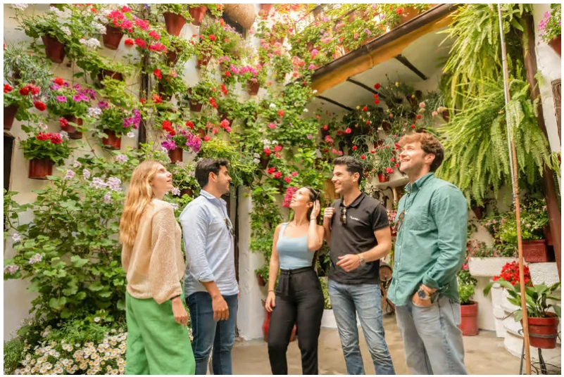 Excursión a Córdoba, Setenil y Ronda desde Sevilla en un día