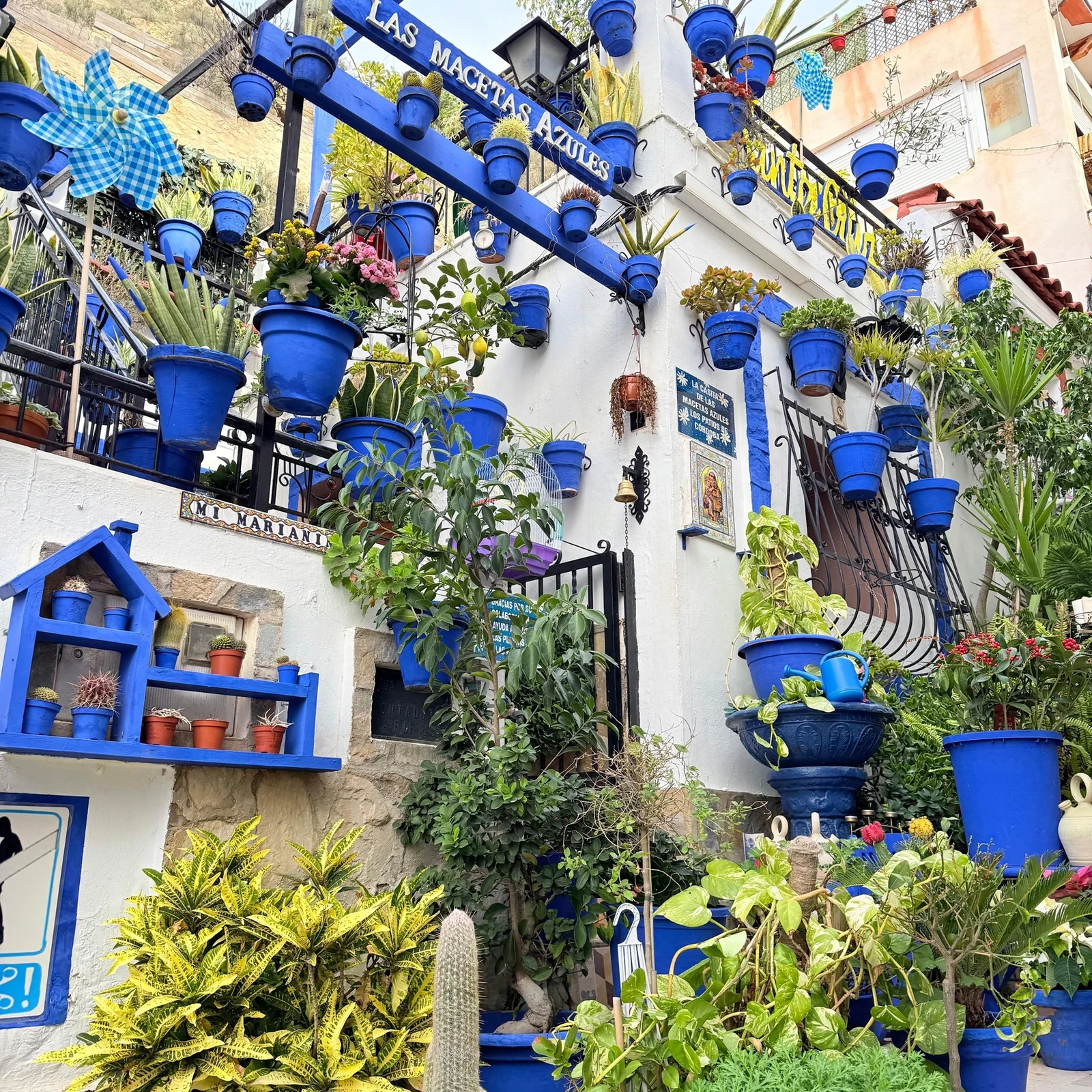 Visite à pied d'Alicante : 2 heures dans le centre historique avec guide local