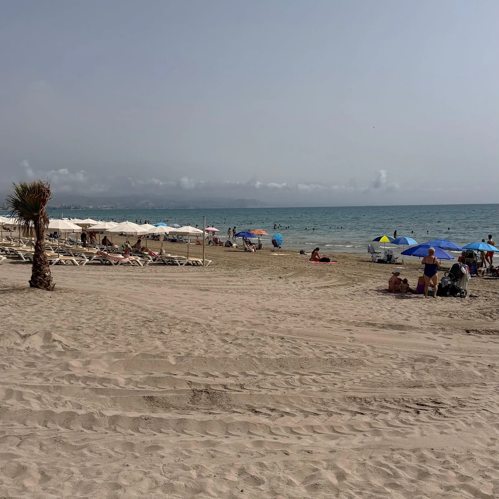 Alicante en e-bike : deux heures pour découvrir la côte avec un guide