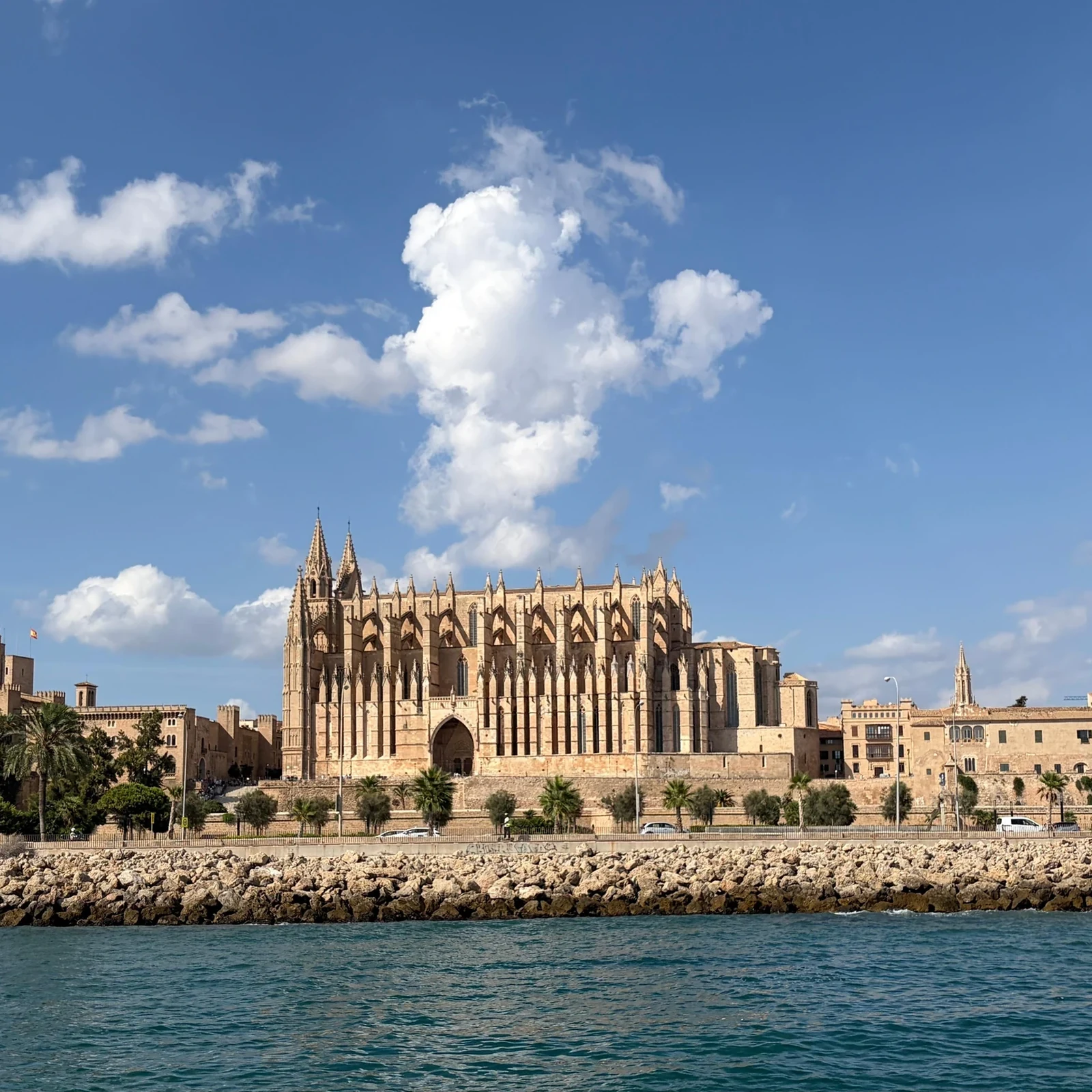 Katamaran durch die Bucht von Palma mit rund 2 Stunden Zeit für das Wasser